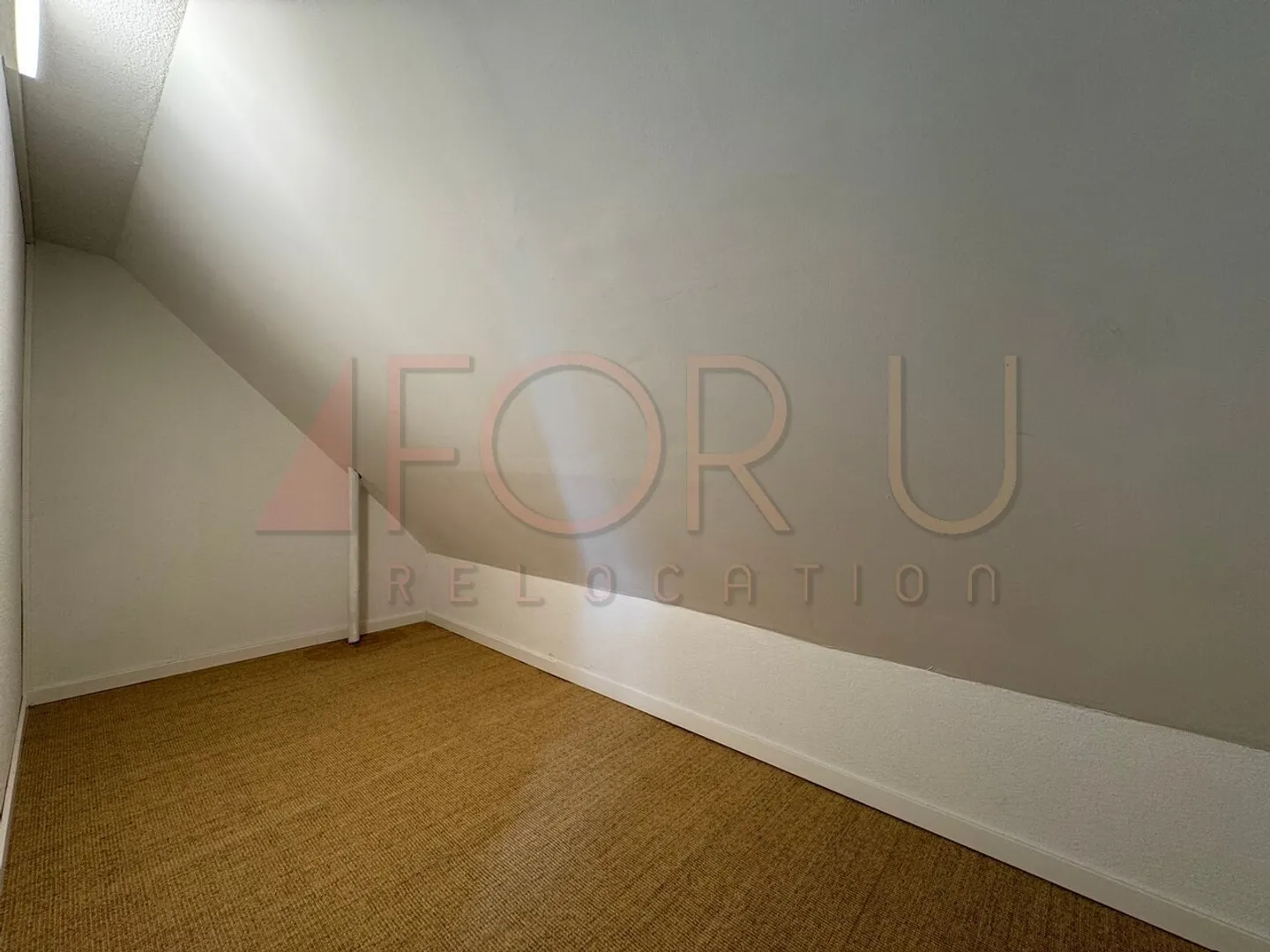 Elegant Master House in Chêne-Bourg - Photo 14 of 20