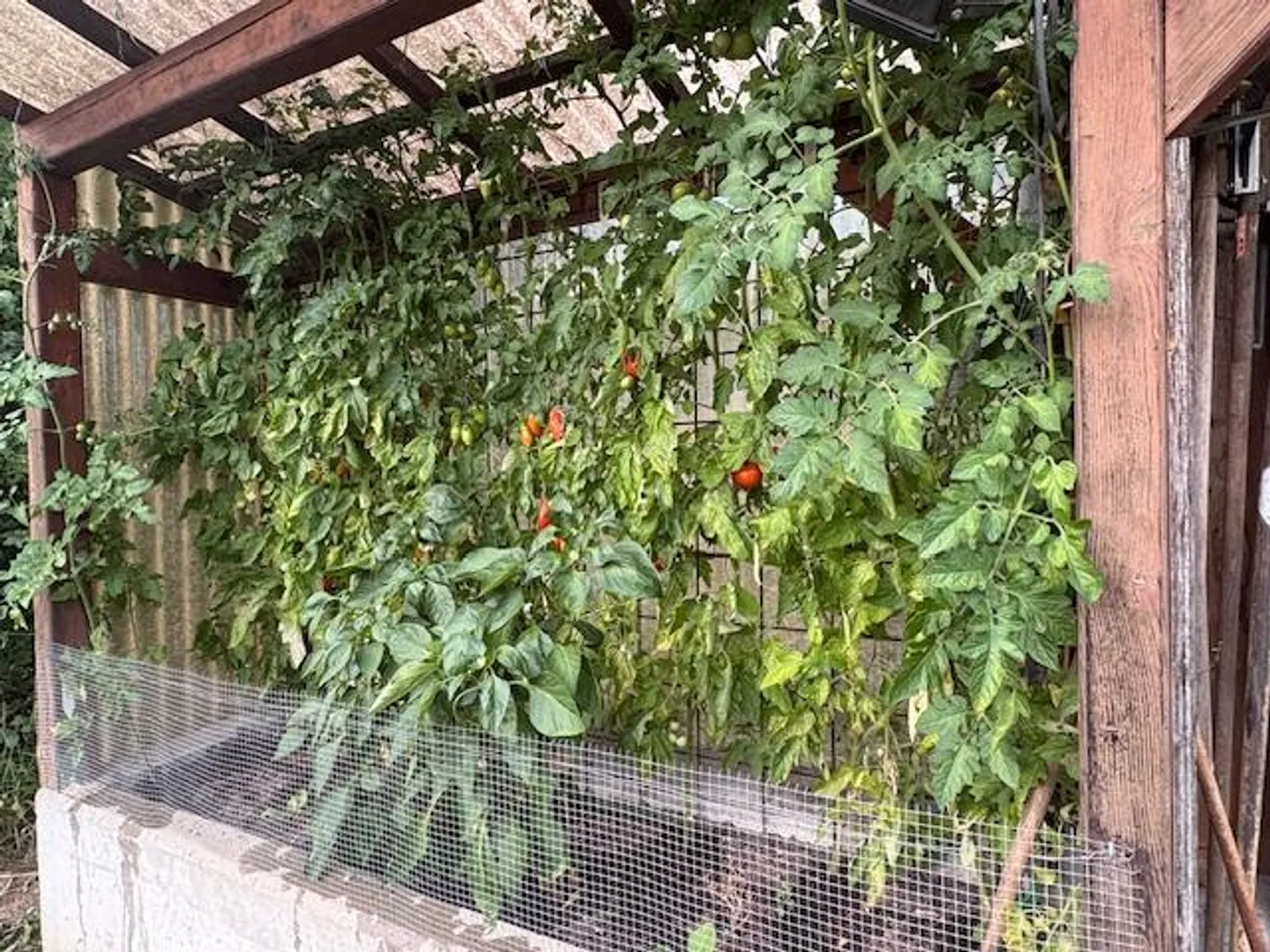 Casa unifamiliare di 6 stanze con grande giardino e capanno - Foto 14 di 17