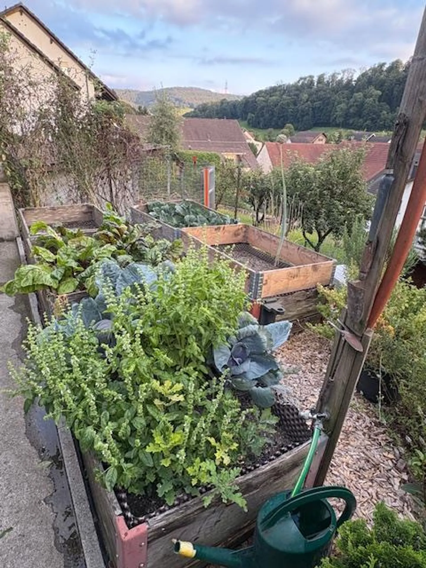 Casa unifamiliare di 6 stanze con grande giardino e capanno - Foto 15 di 17