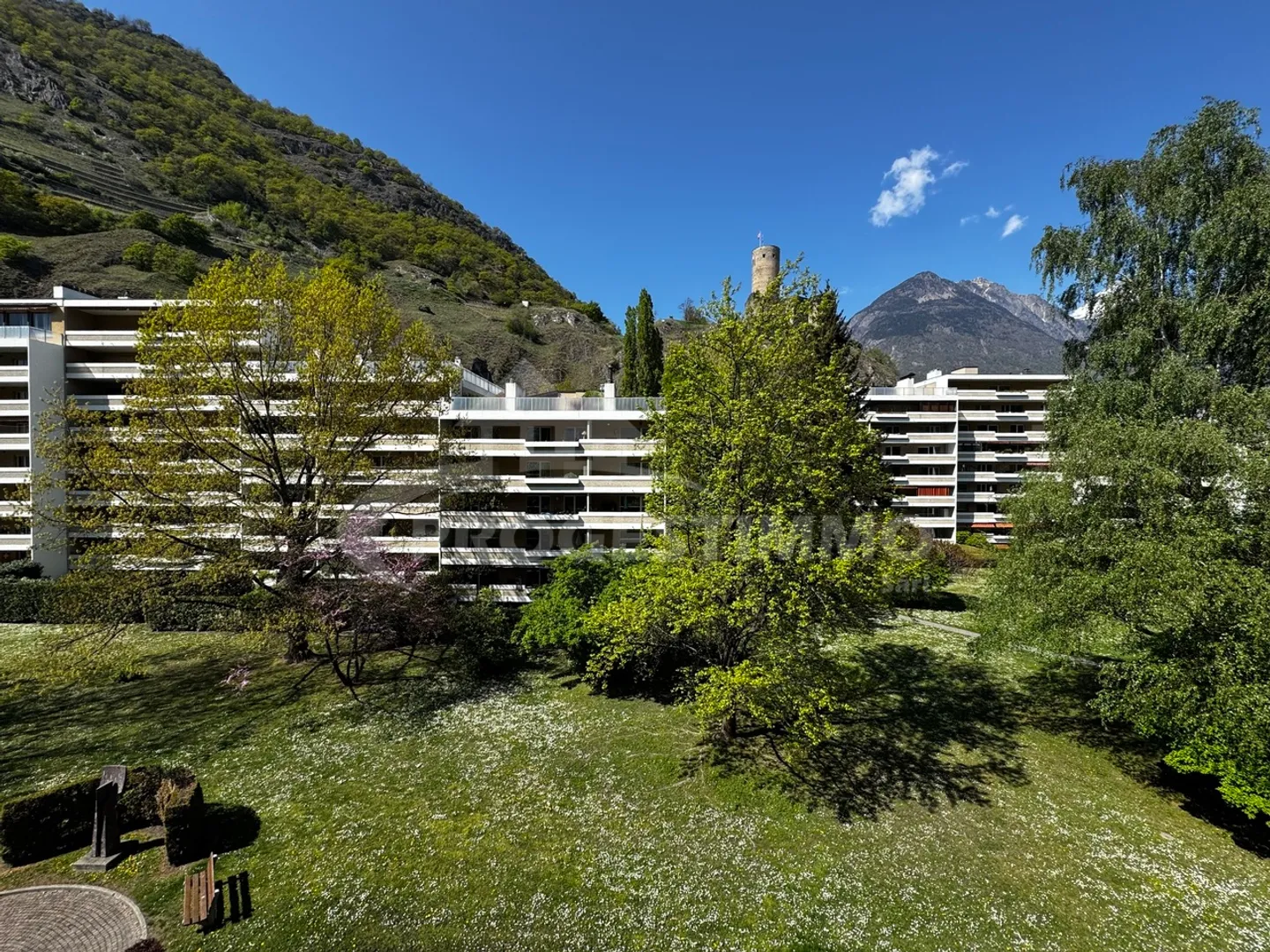 Helles 3.5-Zimmer-Apartment - Foto 1 von 12