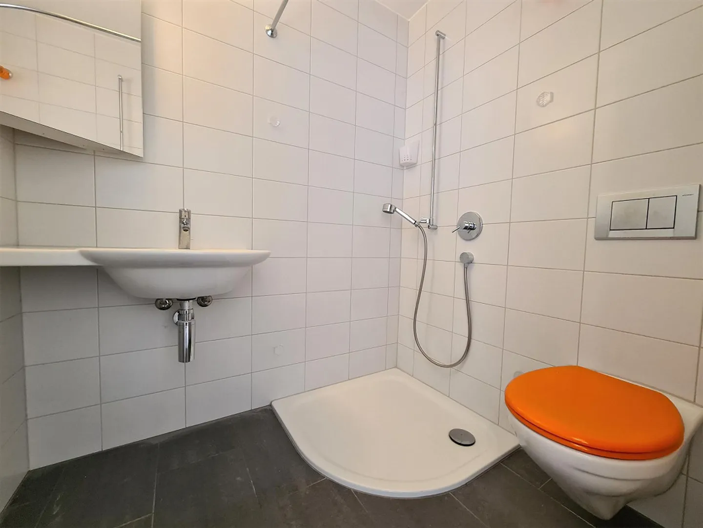 Appartamento con giardino | Ottimamente situato | Vicino a Baden - Foto 8 di 10