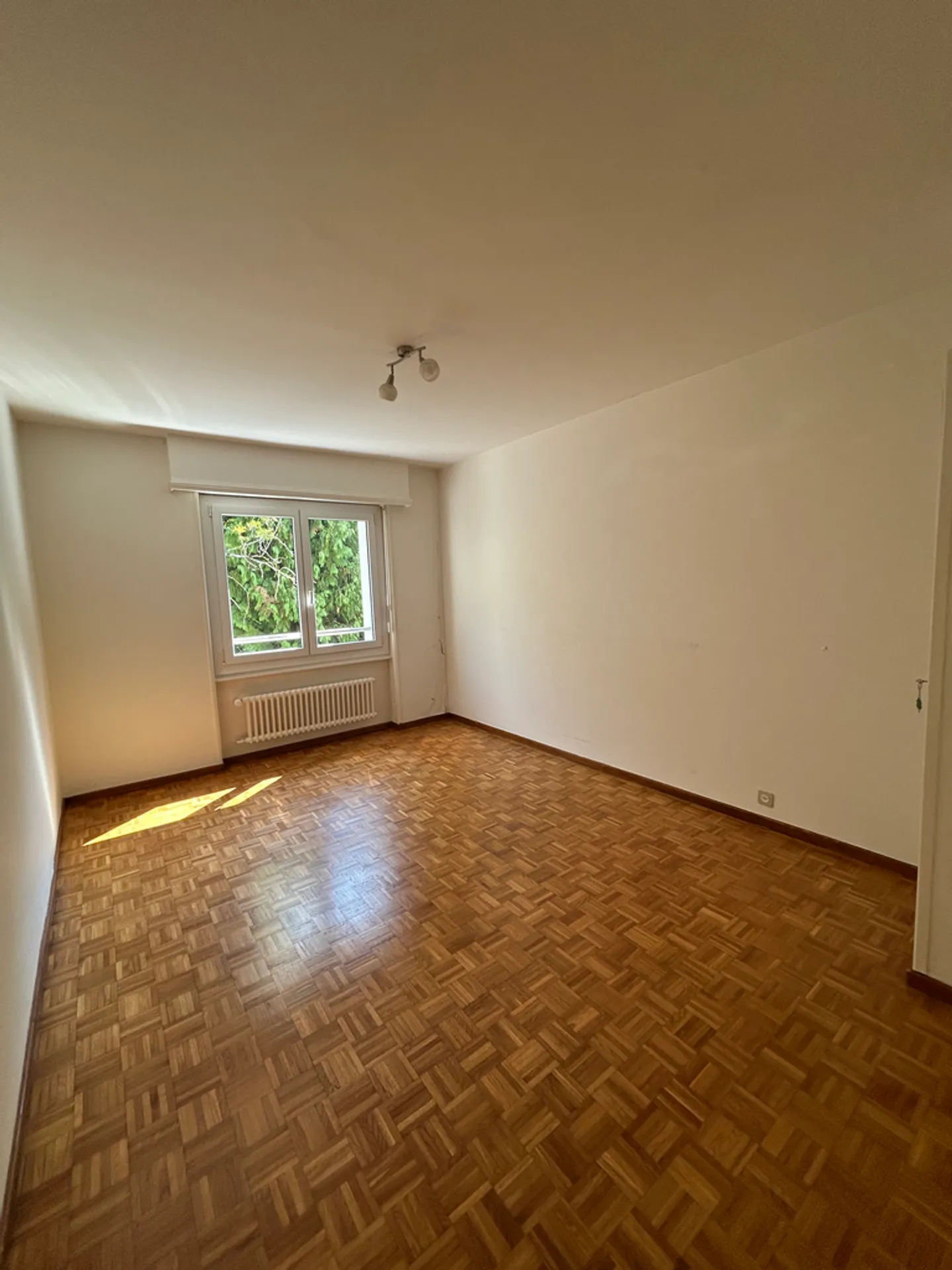 Charming Apartment with Balcony - Photo 5 of 10