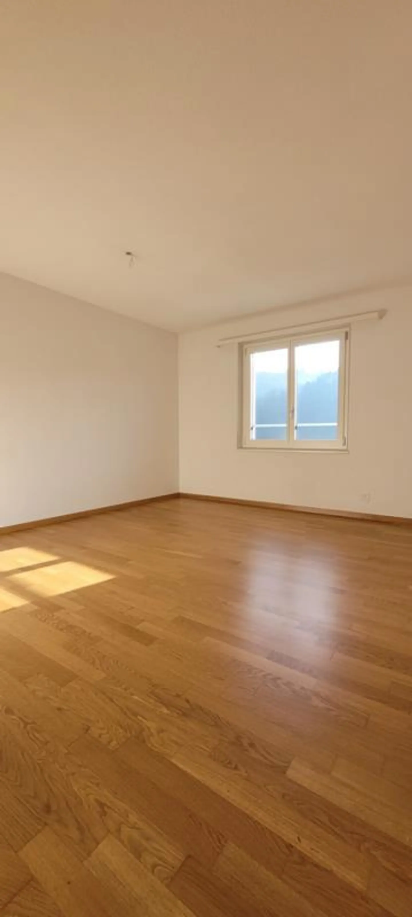 Appartamento attraente di 4,5 stanze nel verde - vicino a Lucerna - Foto 4 di 11