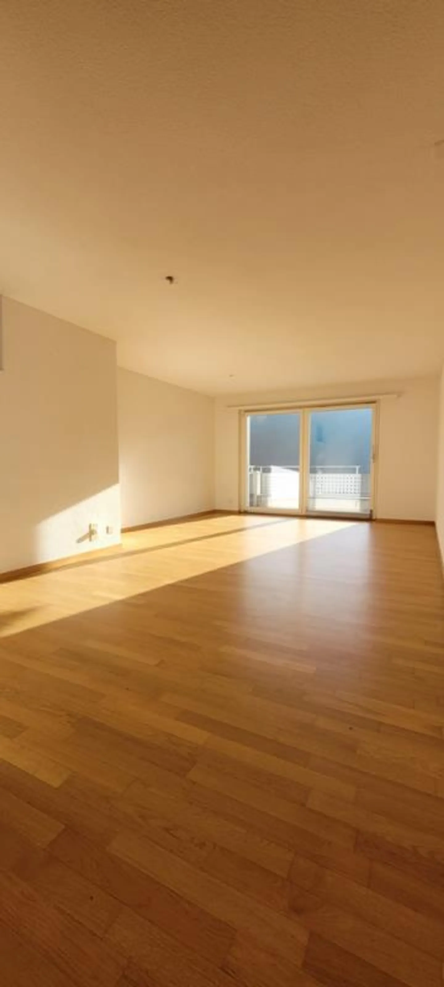 Appartamento attraente di 4,5 stanze nel verde - vicino a Lucerna - Foto 3 di 11