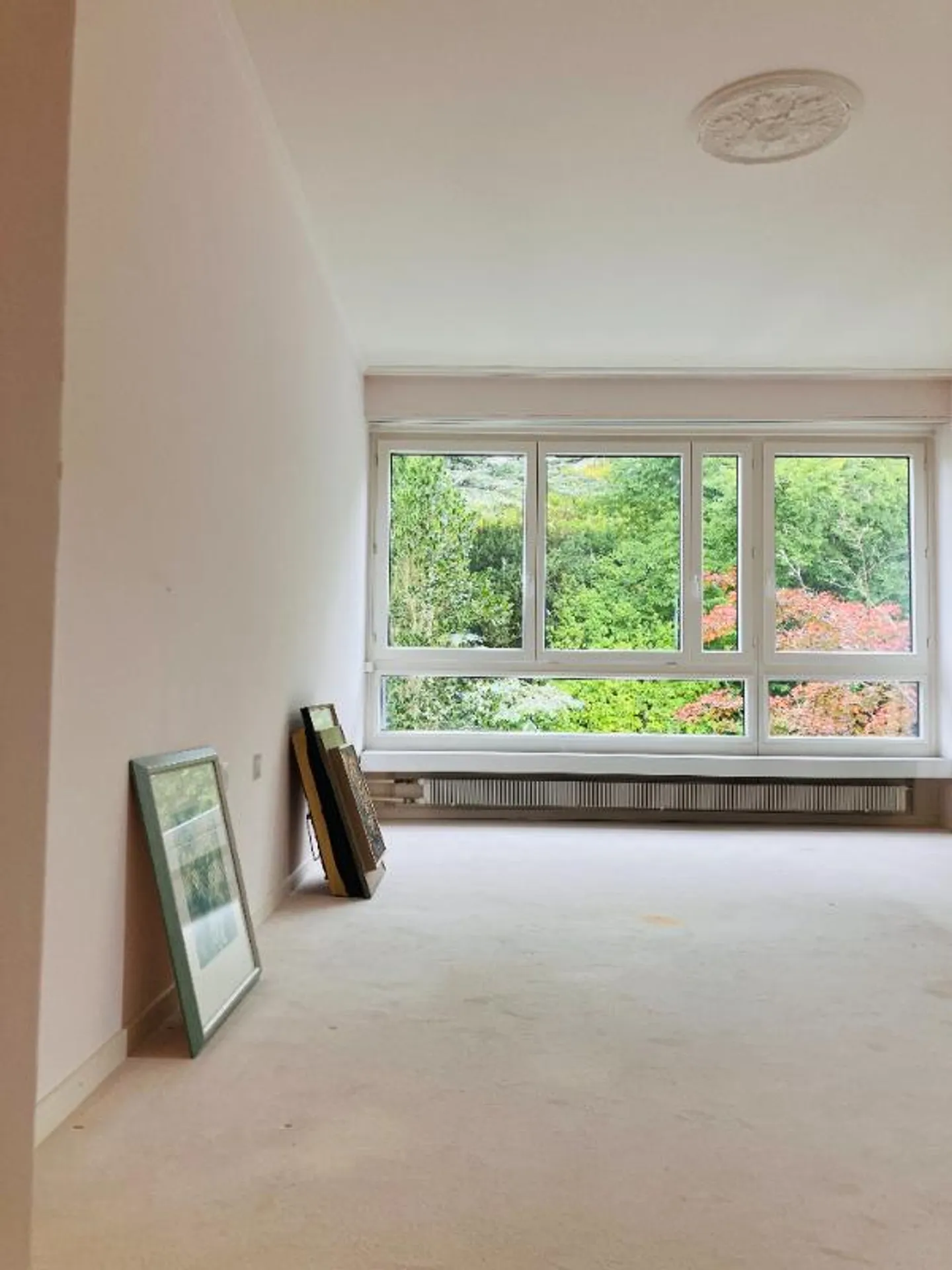 Your Home with Lake Zurich View – Living with a View and Potential - Photo 4 of 8