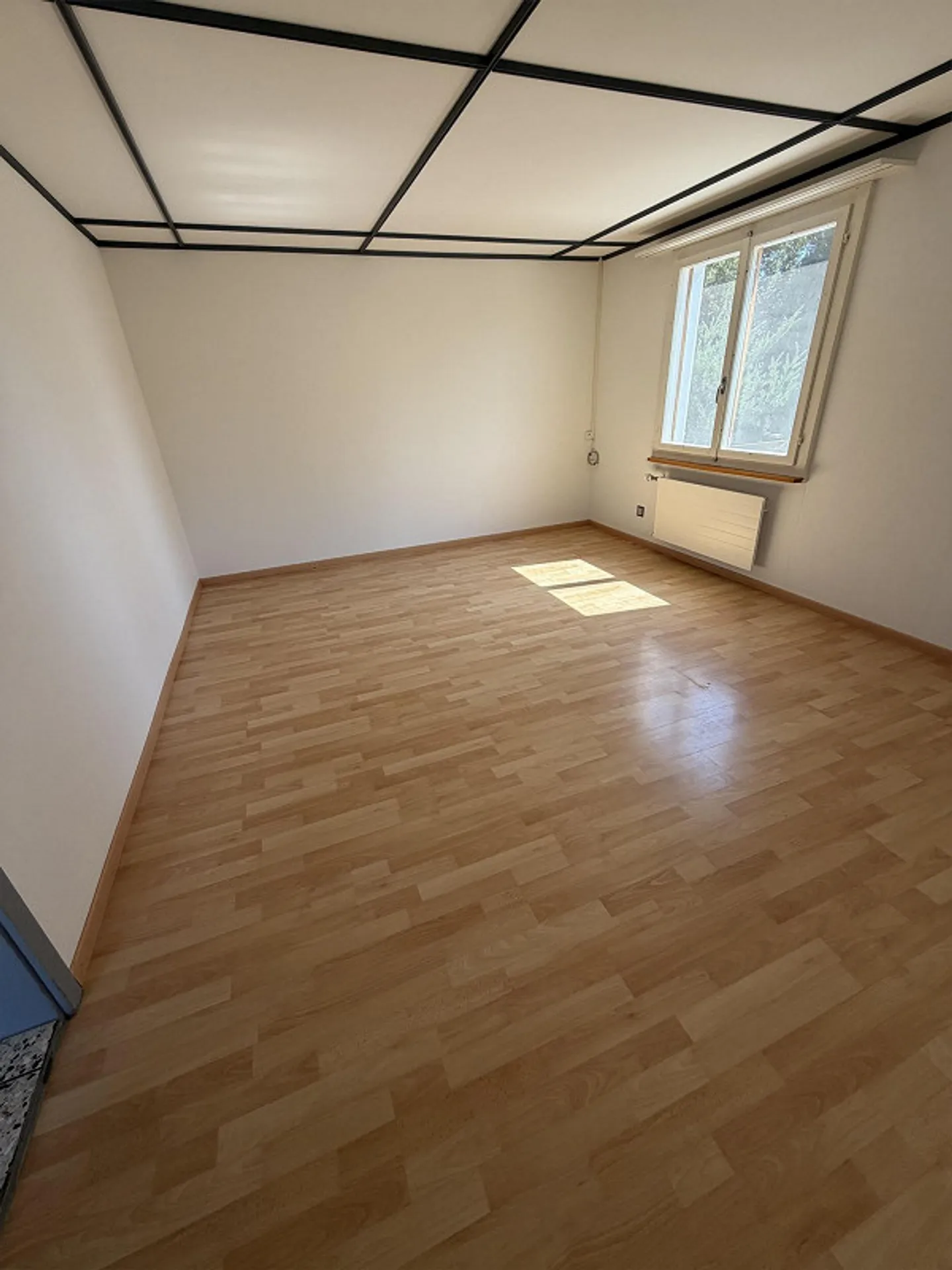 8.5 Room Single Family House for Rent on a Farm - Photo 4 of 22