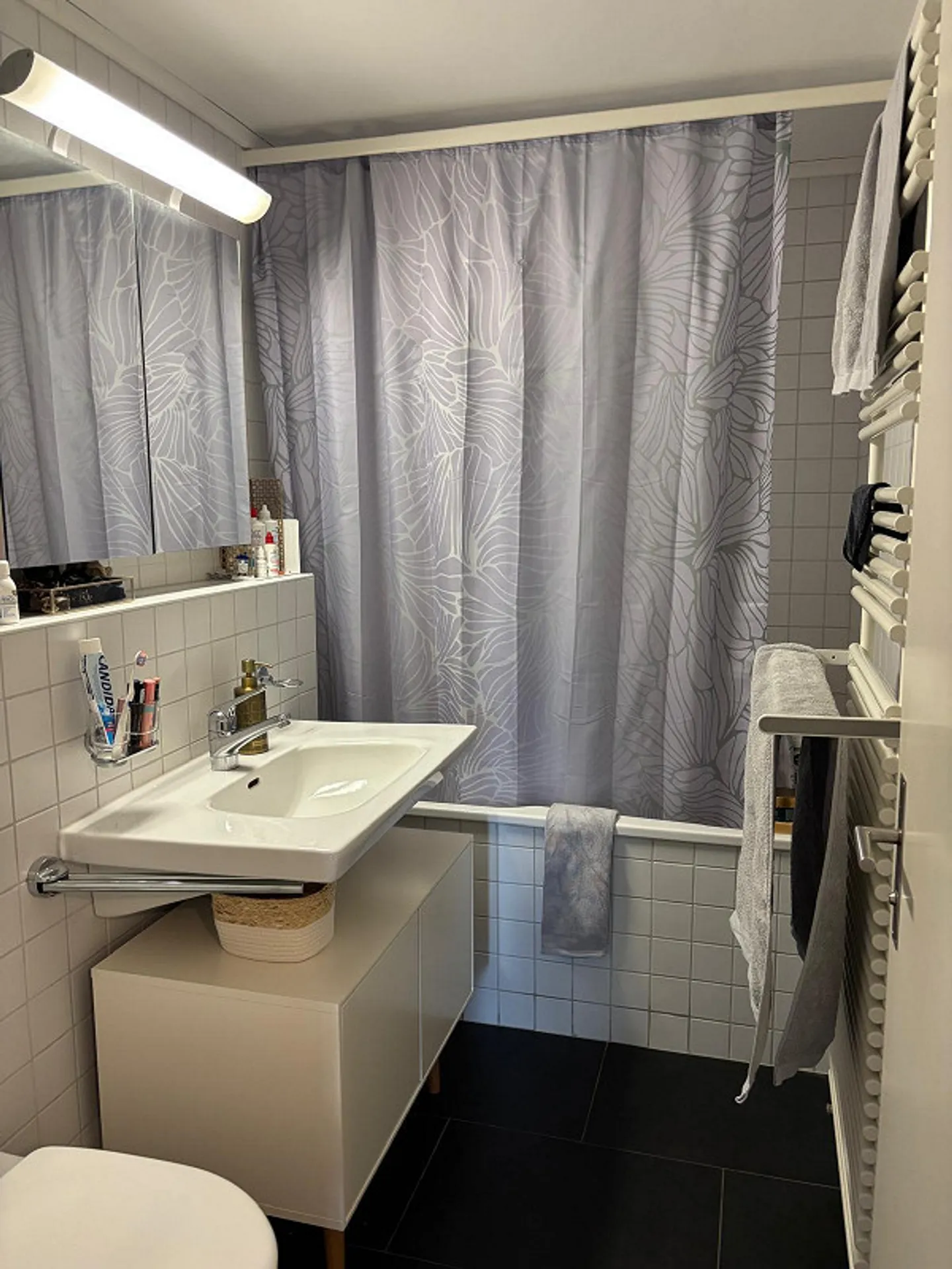 Charming 3.5 Room Old Building Apartment - Photo 4 of 9