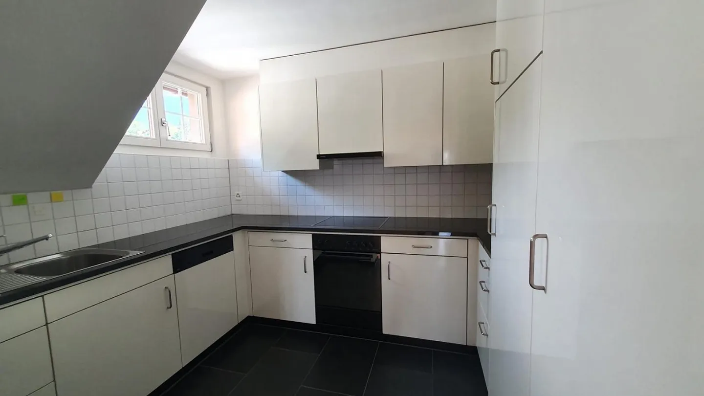 Charming 3.5 Room Old Building Apartment - Photo 6 of 9