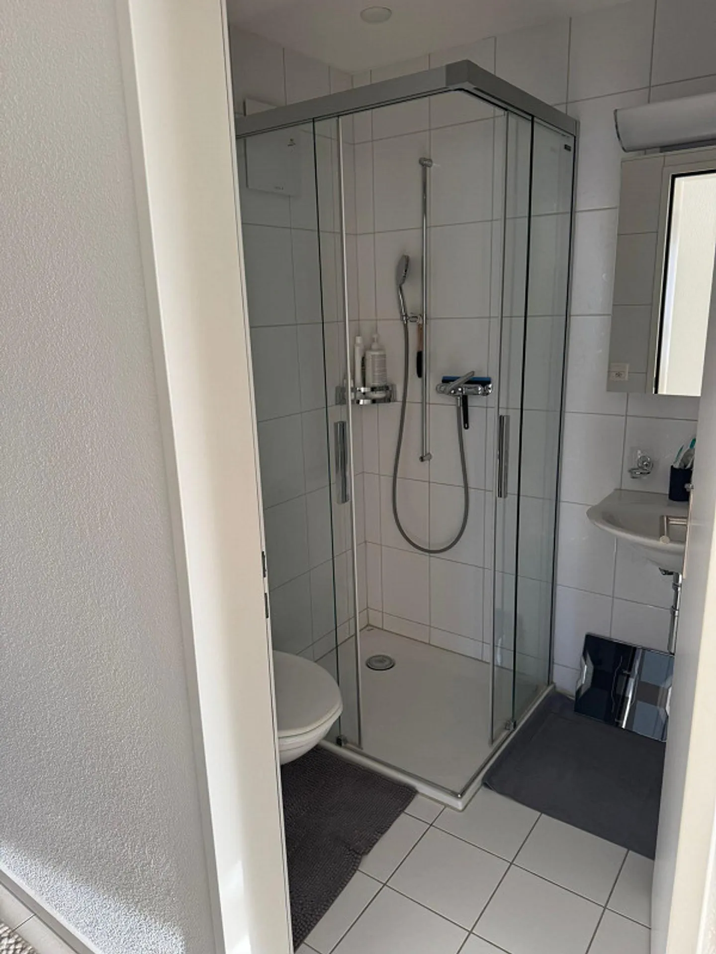 4.5 Zimmer Wohnung in Merlischachen - Foto 3 von 13