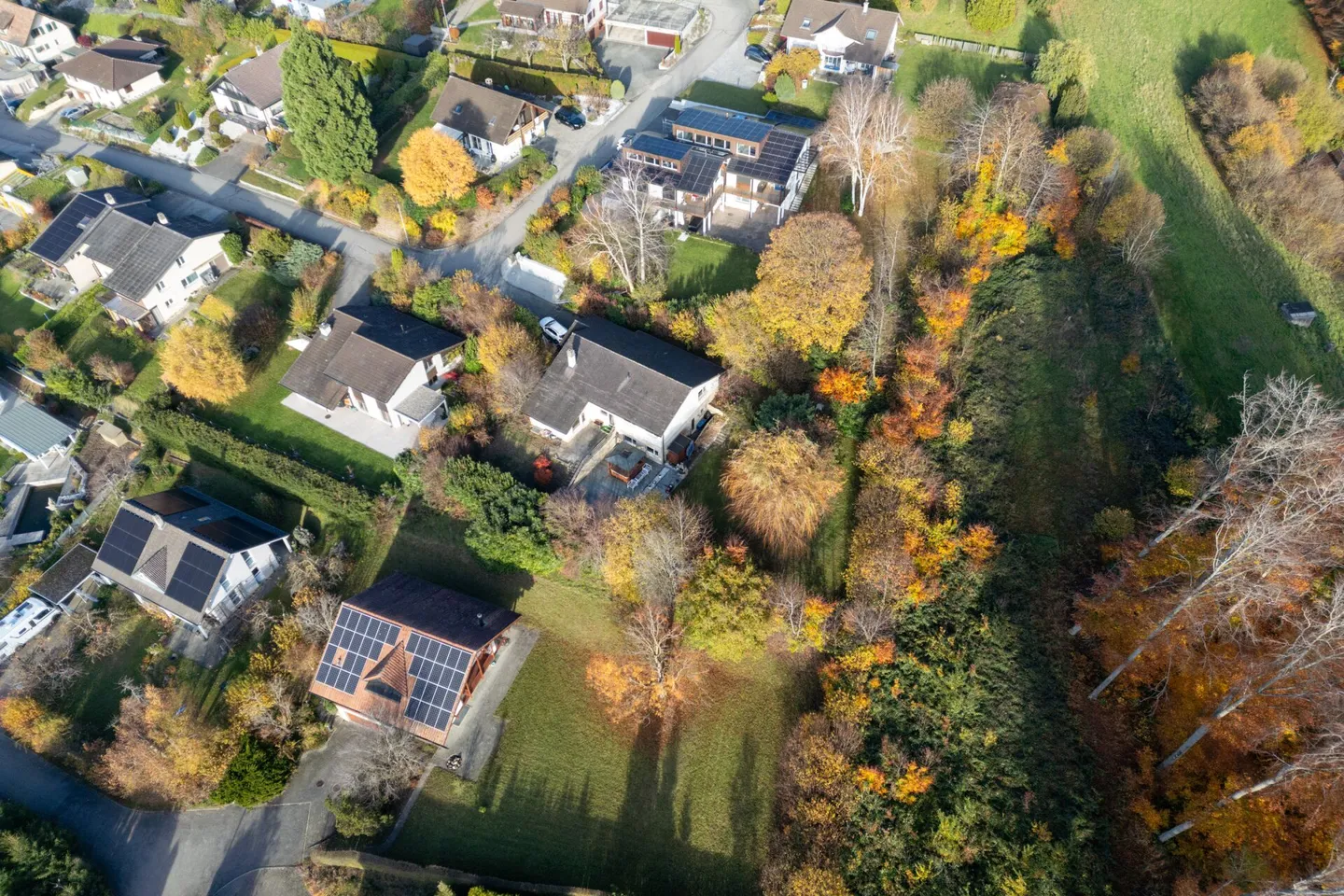 Maison individuelle avec rêve de jardin à Courtepin - Photo 3 sur 23