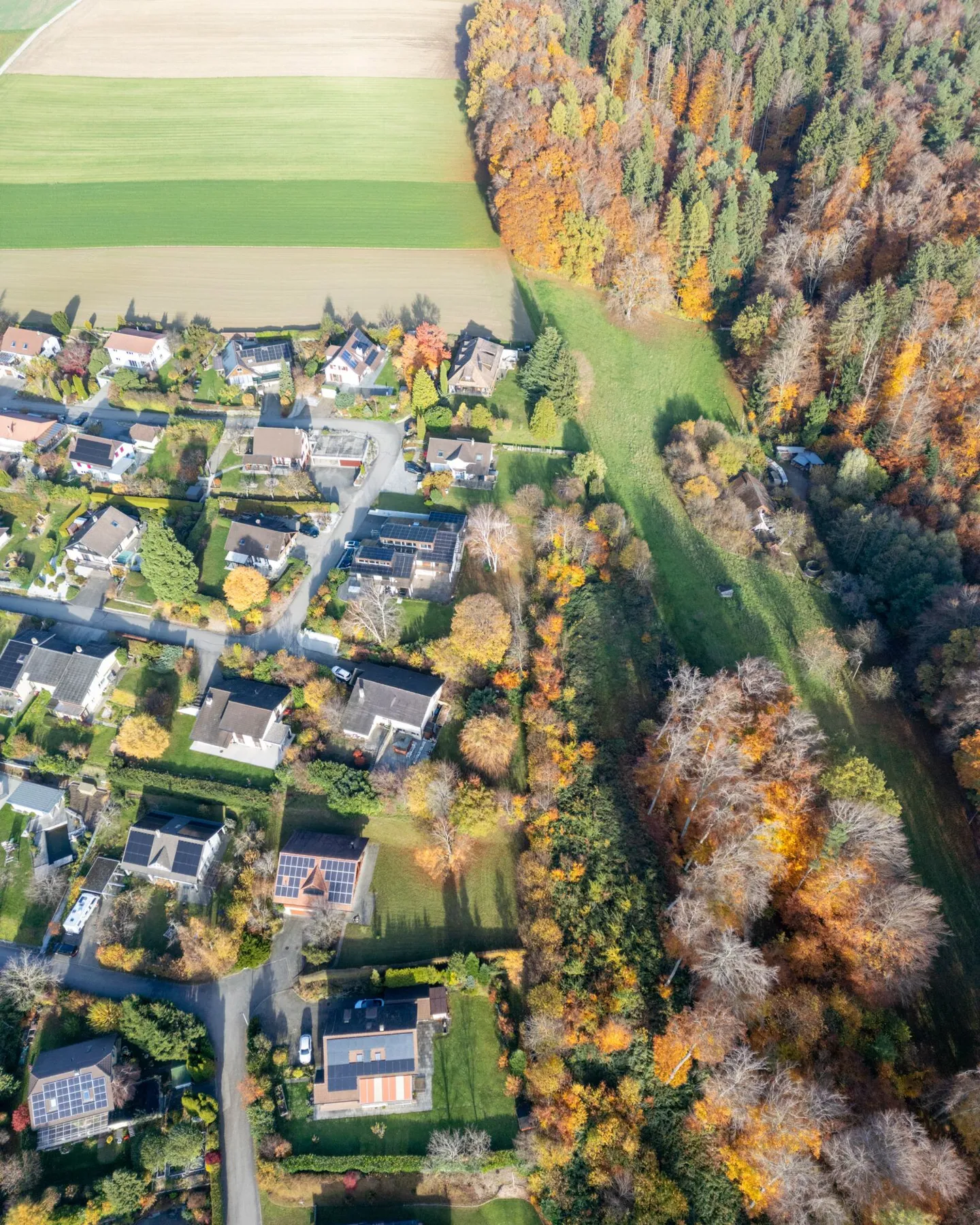 Maison individuelle avec rêve de jardin à Courtepin - Photo 22 sur 23