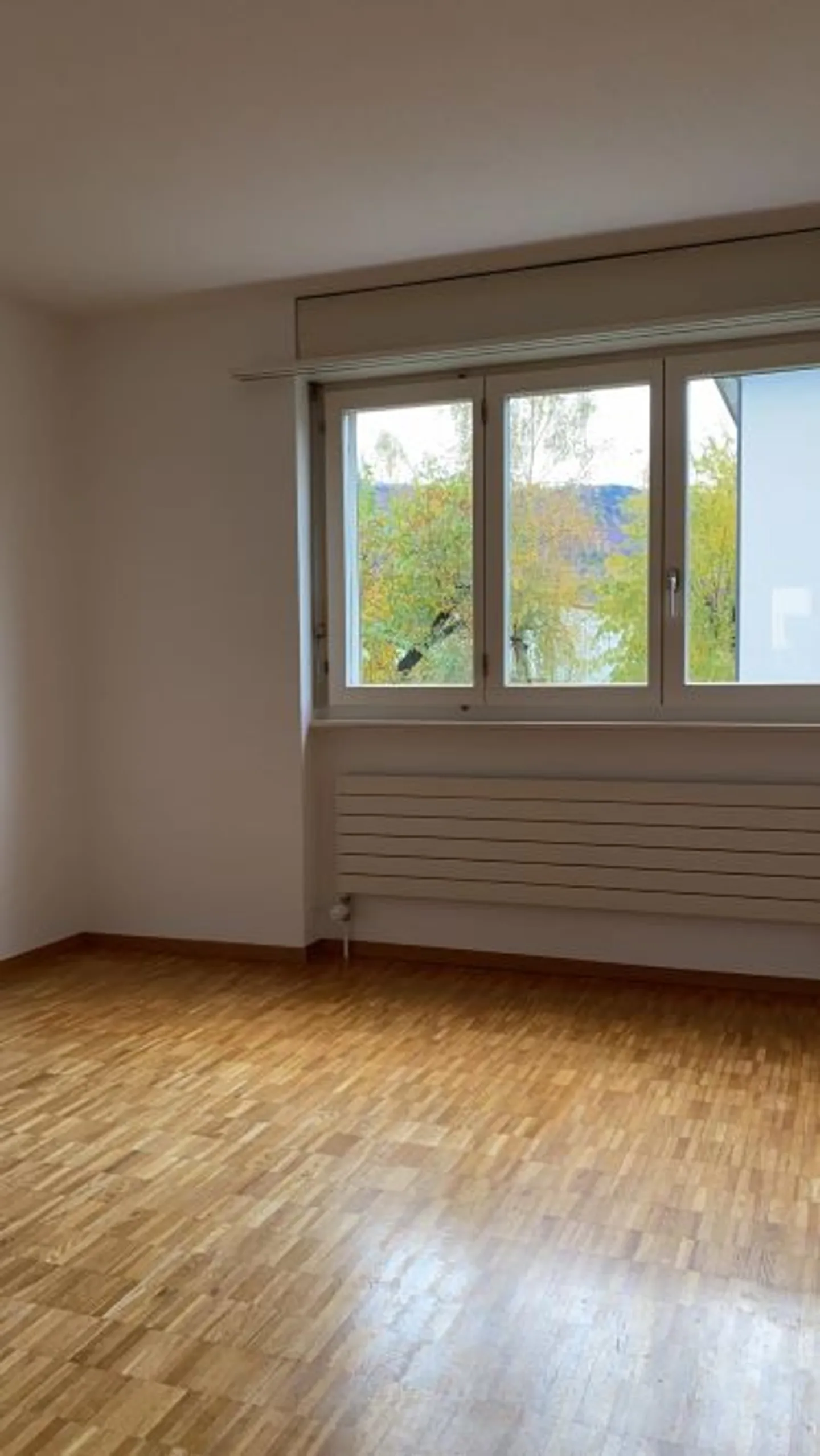 4.5 Room Apartment - Photo 6 of 12