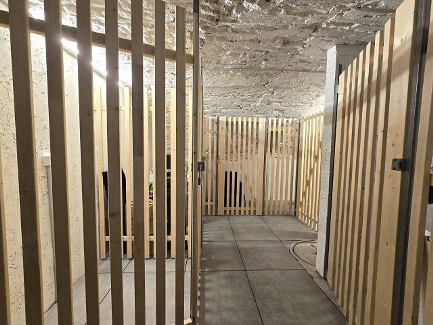 appartamento duplex di 2 1/2 locali con balcone in una casa di 4 app. rinnovata - Foto 17 di 36