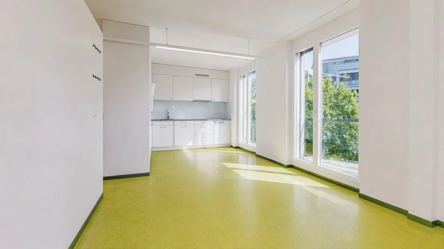 Versatile Commercial Space in Prime Location in Liestal - Photo 5 of 12