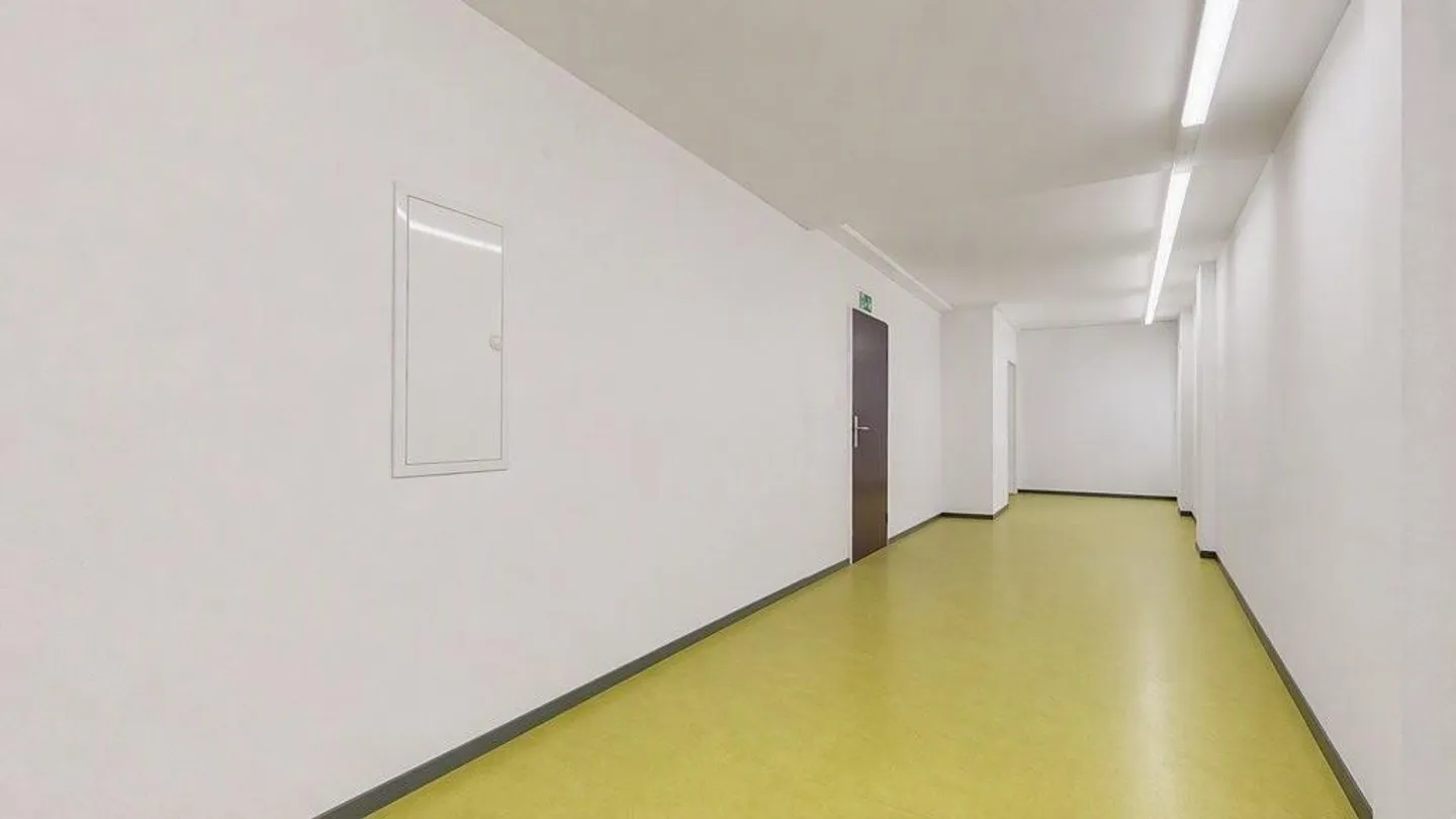 Versatile Commercial Space in Prime Location in Liestal - Photo 9 of 12