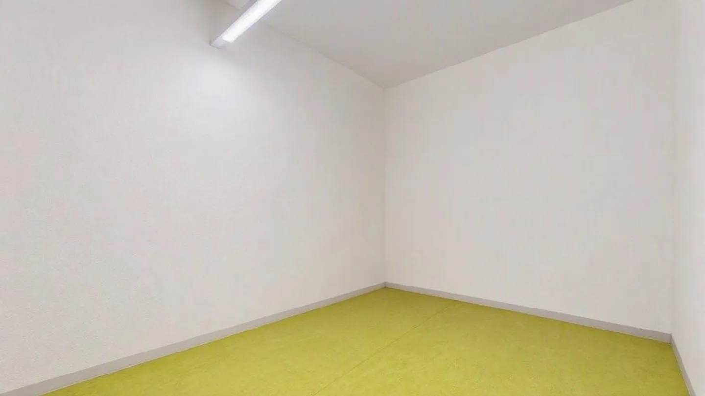 Versatile Commercial Space in Prime Location in Liestal - Photo 11 of 12