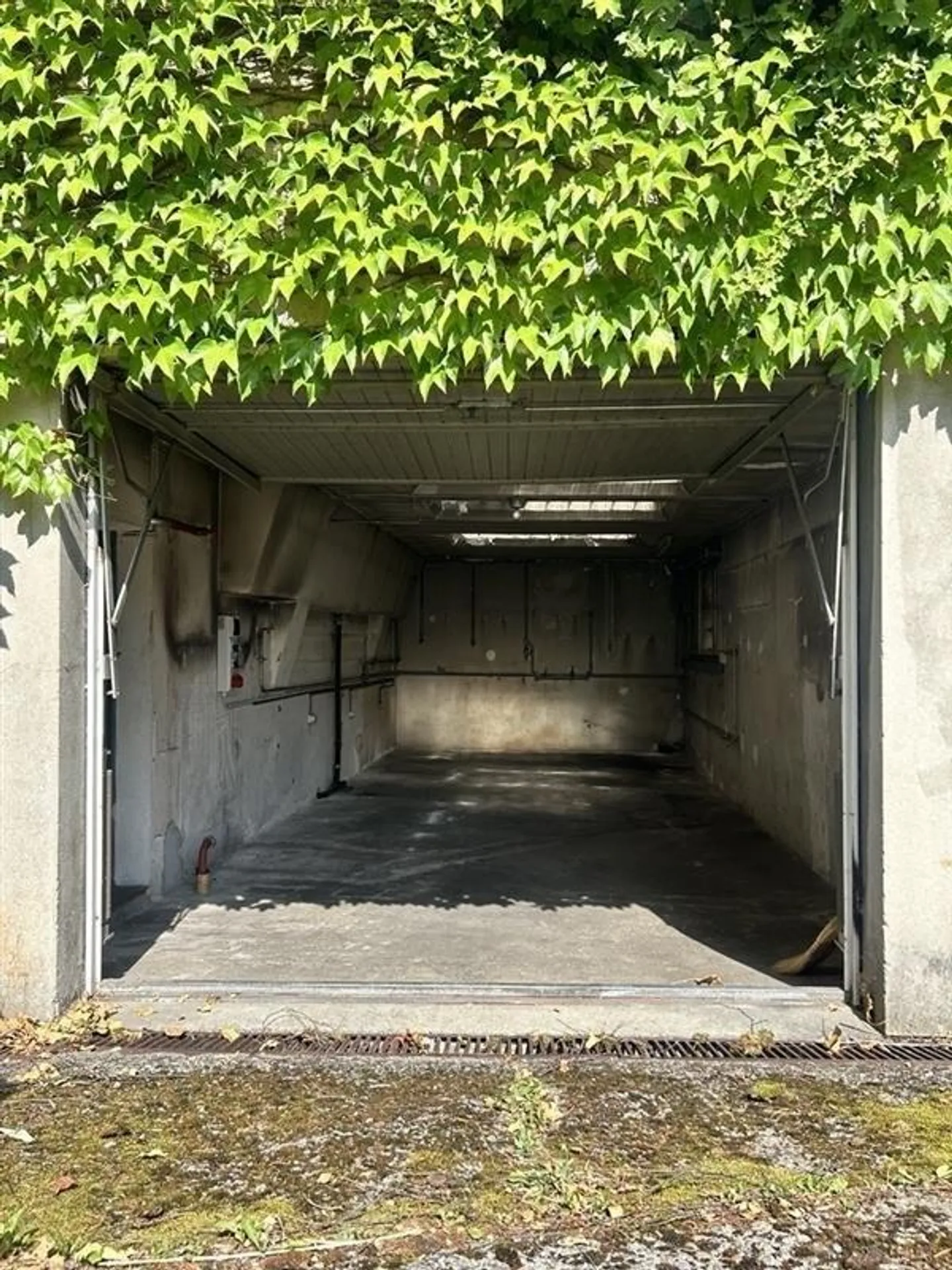 Grosszügige Garage im Breitenrain - Foto 1 von 1