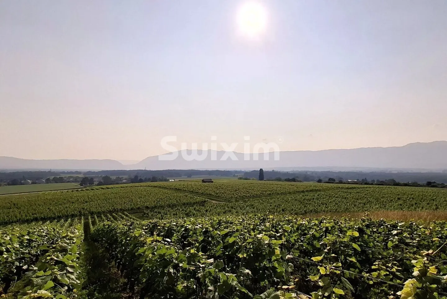 Villa Incantevole con Giardino Spazioso - Foto 1 di 1