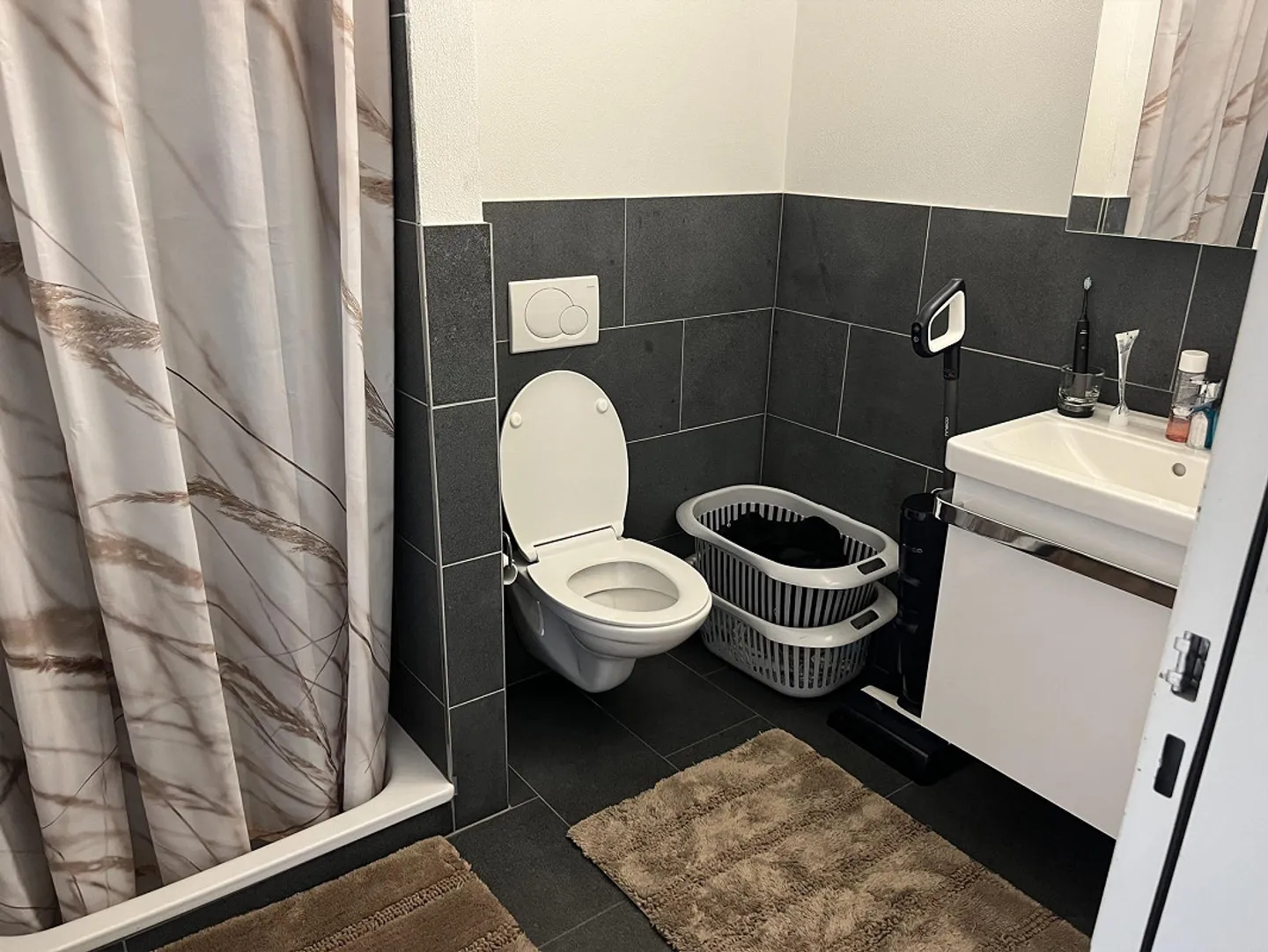 Attractive 2.5 Room Apartment in Chur - Photo 9 of 10