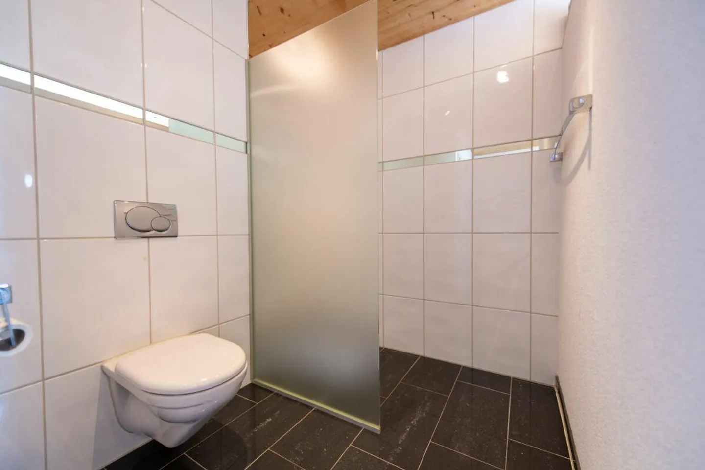 Maison individuelle moderne de 5,5 pièces avec vue sur l'Eiger, le Mönch et la Jungfrau - Photo 12 sur 19