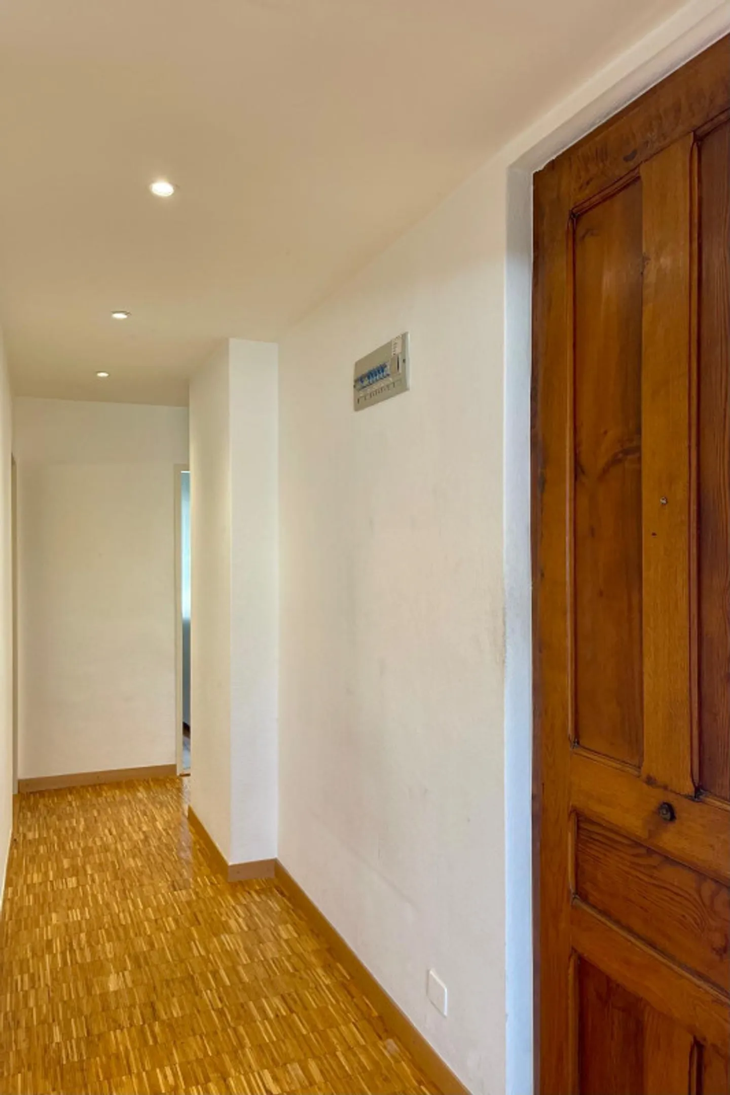 Appartamento Attico a Eaux-Vives - Foto 3 di 13