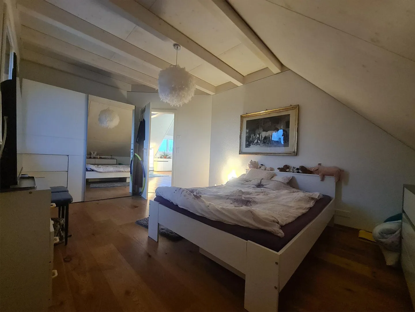 Moderno appartamento attico di 2,5 stanze in una posizione tranquilla a Hauptikon - Foto 3 di 10