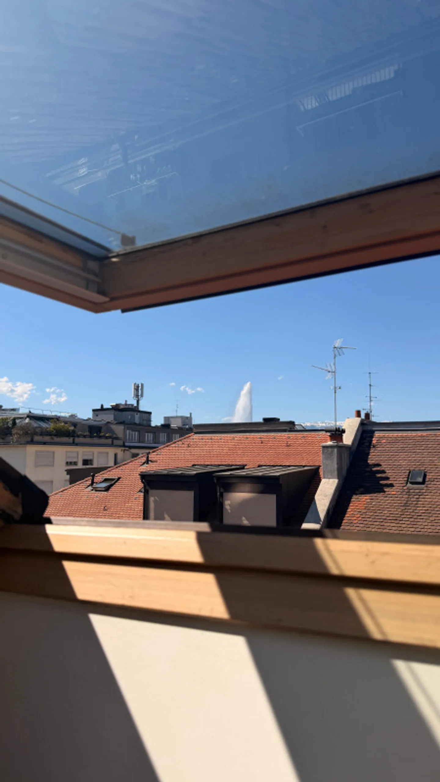 Appartamento Attico a Eaux-Vives - Foto 7 di 13