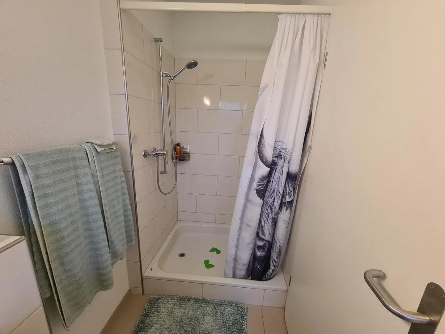 Moderno appartamento attico di 2,5 stanze in una posizione tranquilla a Hauptikon - Foto 7 di 10