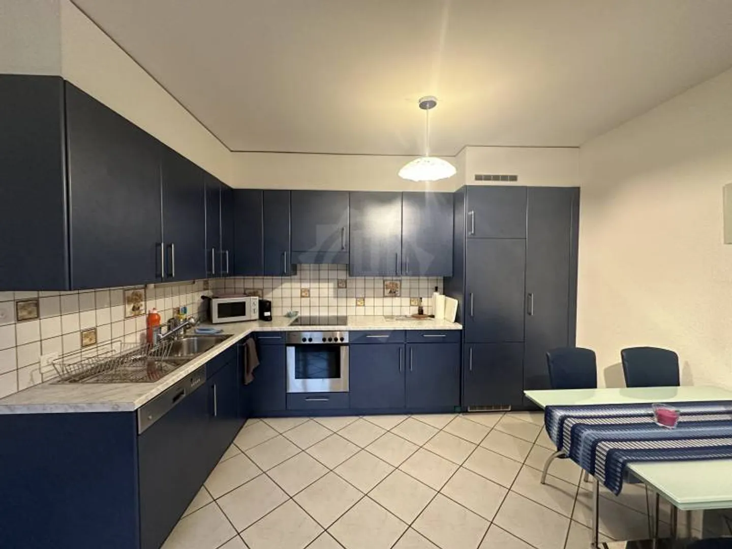 Pleasant Apartment - Plan-les-Ouates - Photo 3 of 8