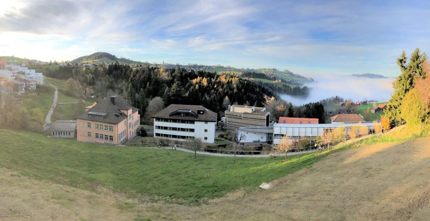 Appartamento 2,5 locali con terrazza - Foto 2 di 9