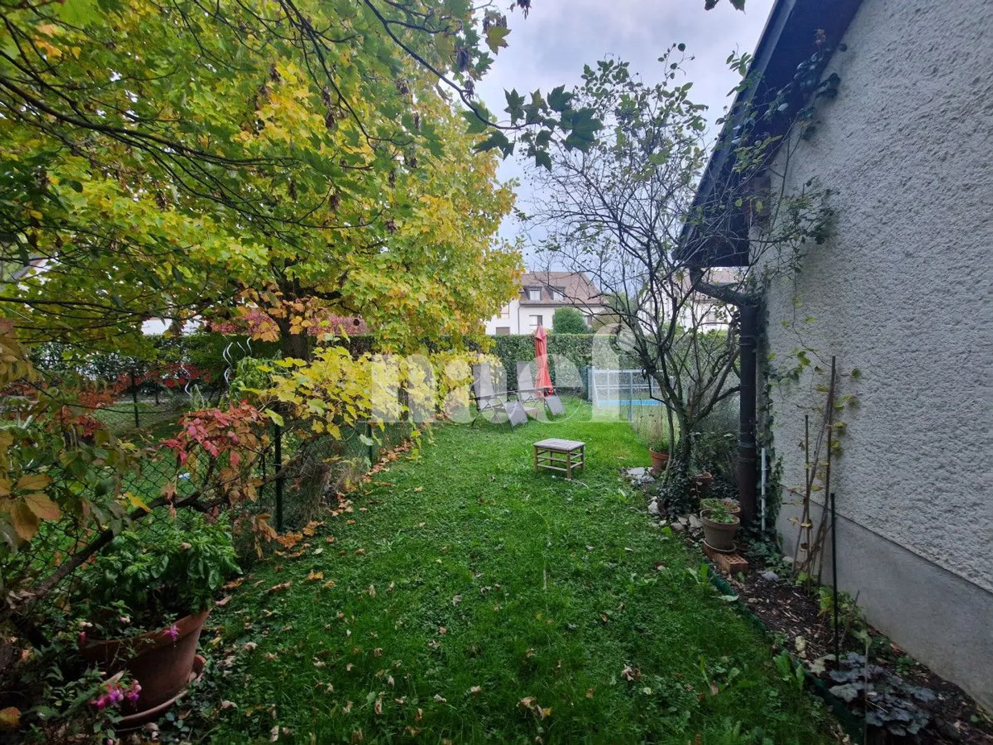 5-Zimmer-Wohnung - Foto 3 von 7