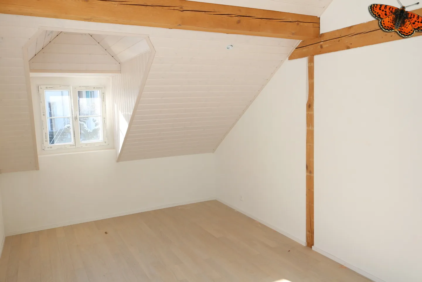 Appartamento luminoso di 2½ stanze con fascino e terrazza di 59m²! - Foto 5 di 8