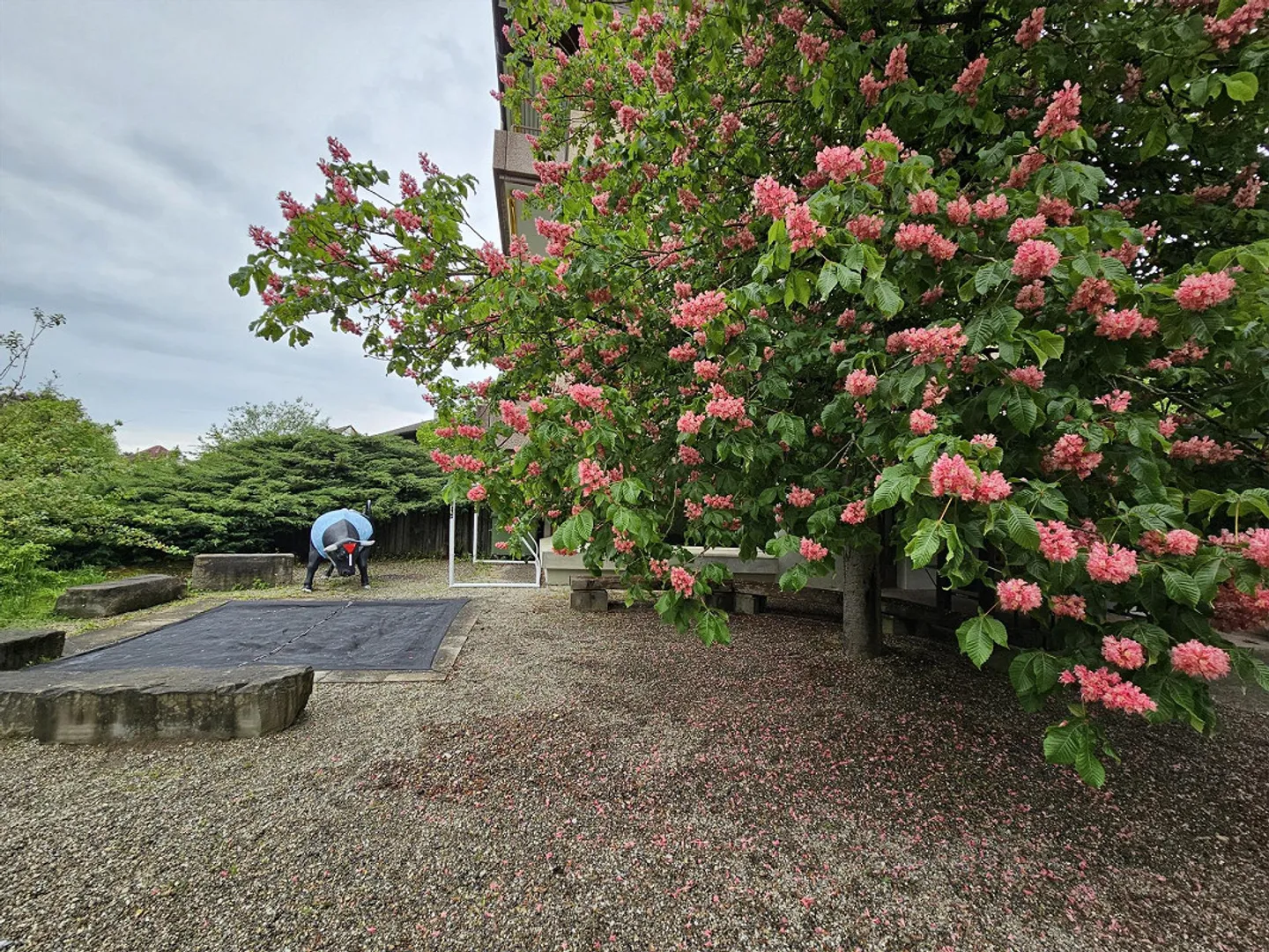 Appartement lumineux de 5,5 pièces avec vue sur la verdure, calme et central à Amriswil - Photo 15 sur 18