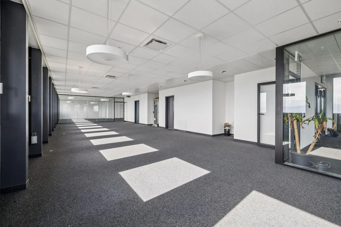 Espace Commercial à Nyon - Photo 3 sur 9