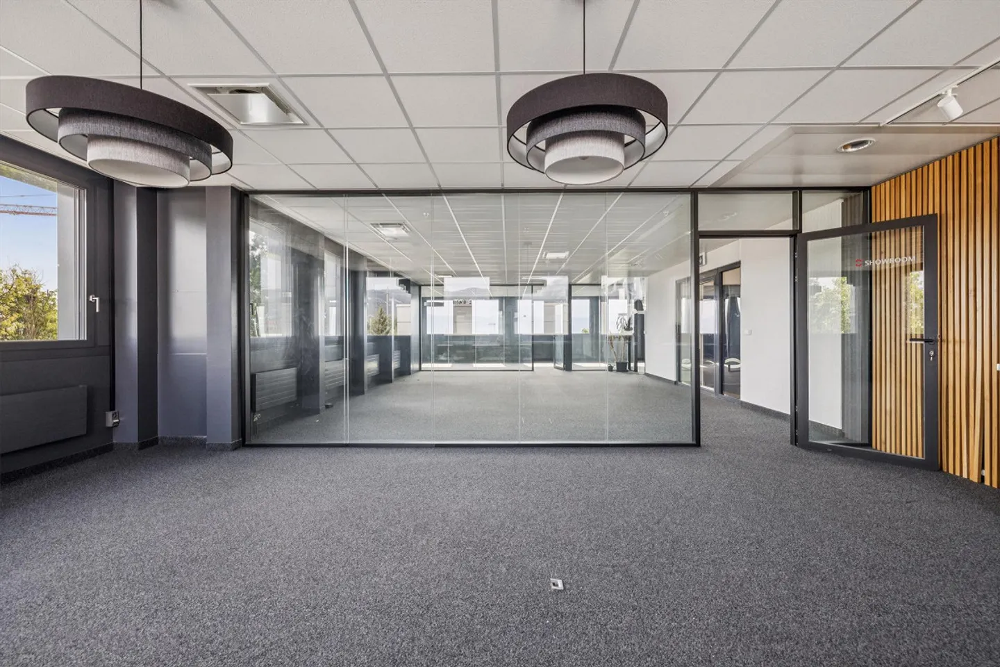 Espace Commercial à Nyon - Photo 8 sur 9
