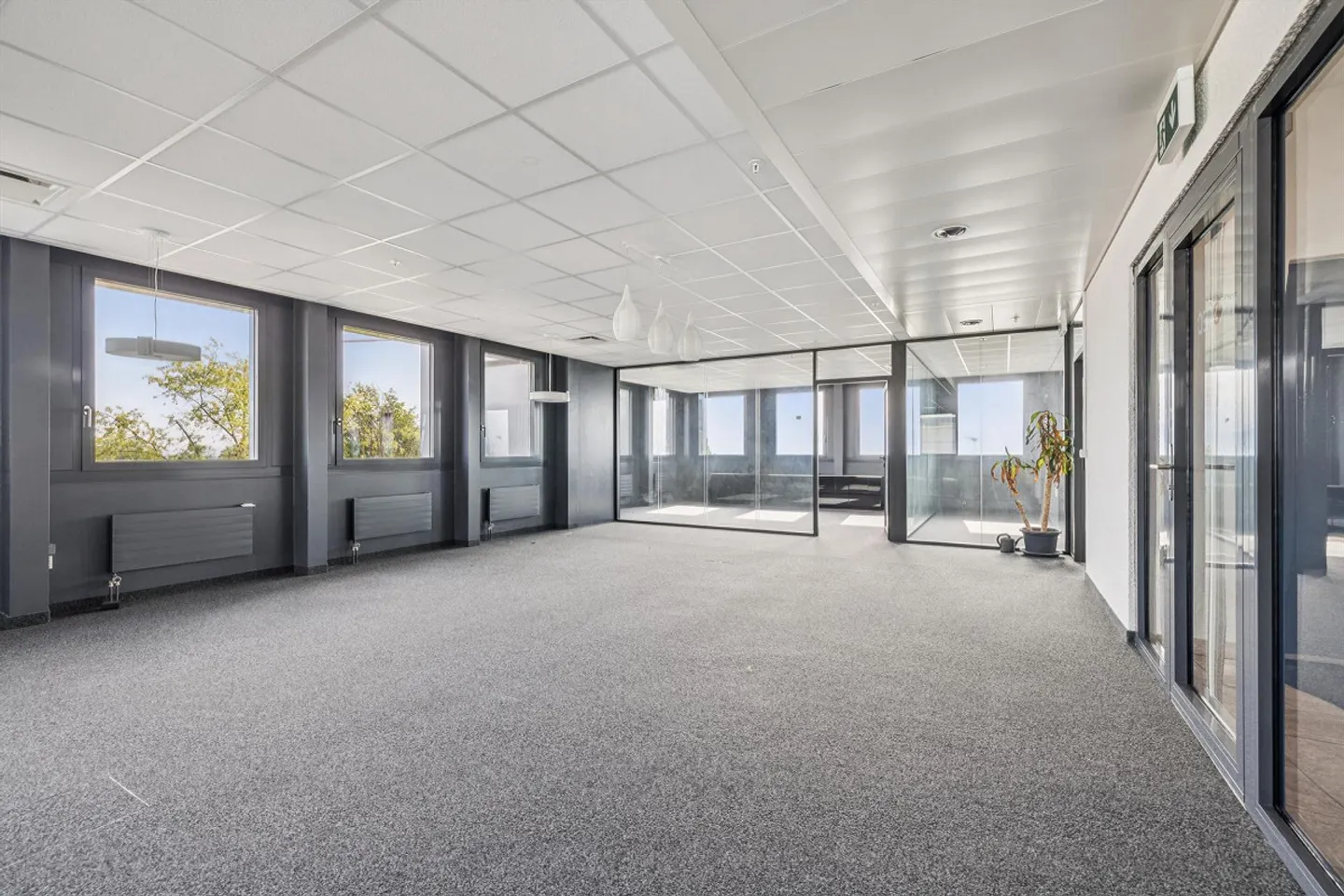 Espace Commercial à Nyon - Photo 7 sur 9