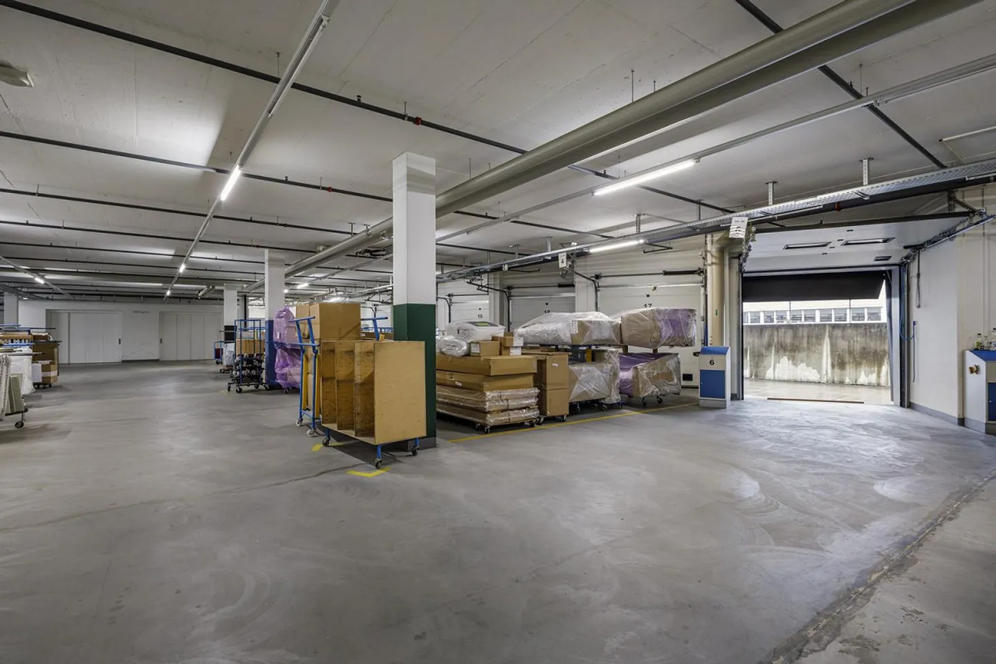 Geräumige Lagerflächen in Regensdorf - Foto 3 von 4