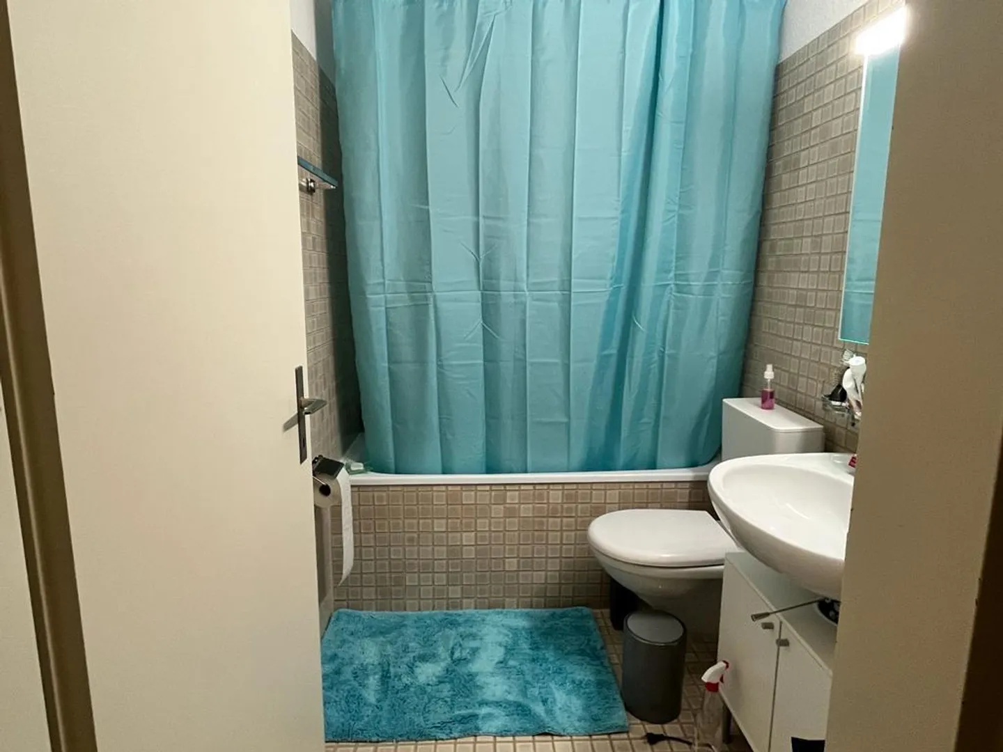 Furnished 2.5-room apartment in Lucerne, available from 01.01. to 31.08.26 - Photo 4 of 7