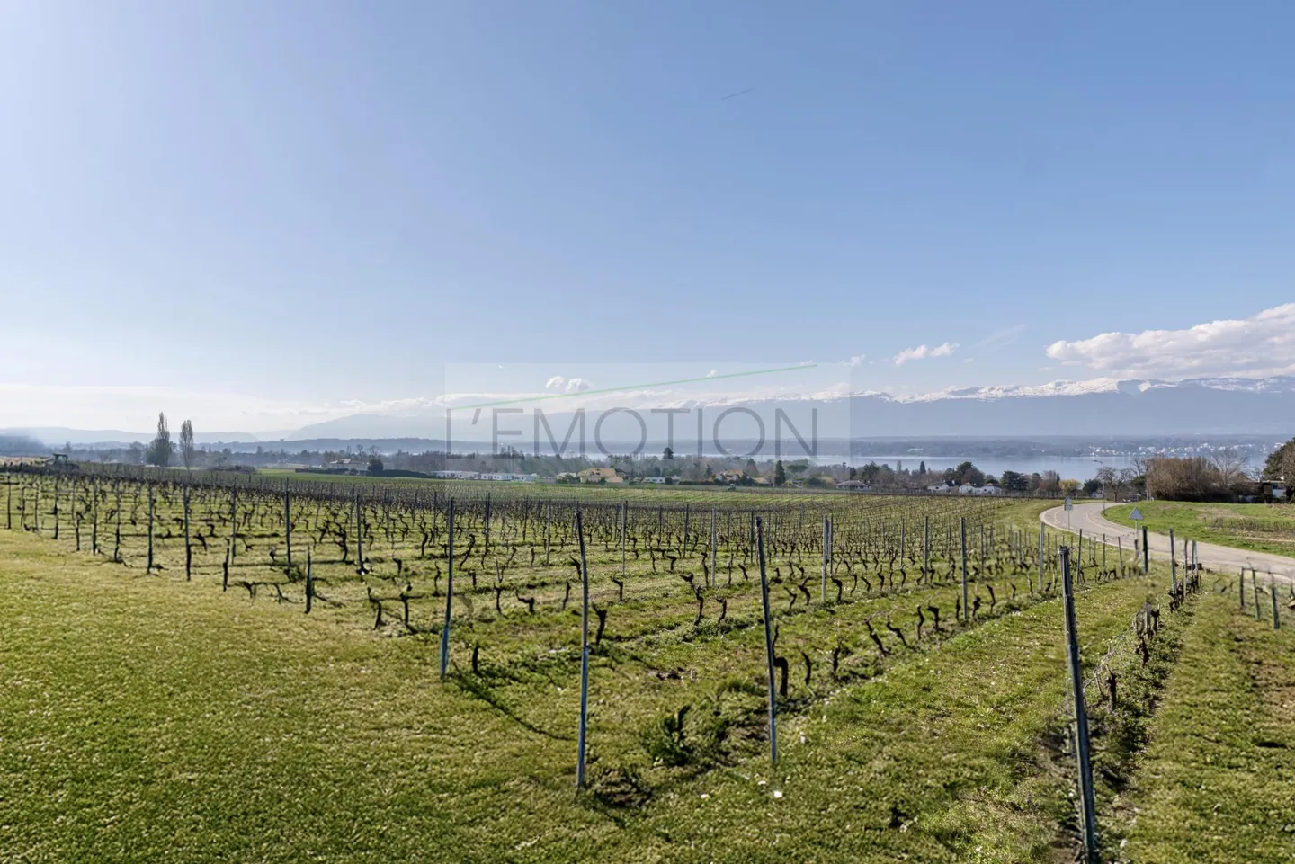 Elegant 5-Room Apartment in Corsier - Photo 18 of 19