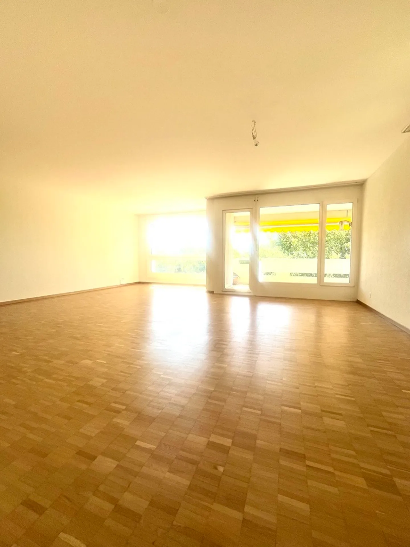 Großes Apartment in Meyrin - Foto 3 von 6