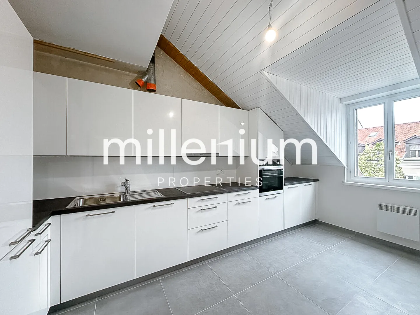 Renovated Penthouse Duplex in the Old Town of Carouge - Photo 2 of 10