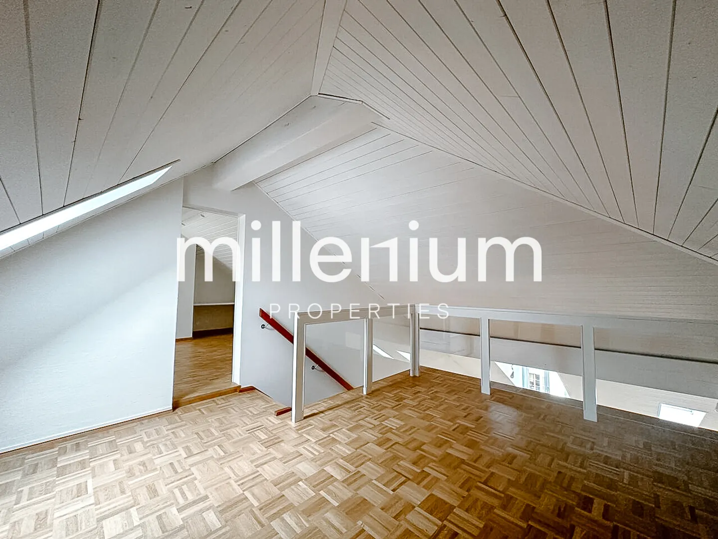 Renovated Penthouse Duplex in the Old Town of Carouge - Photo 1 of 10