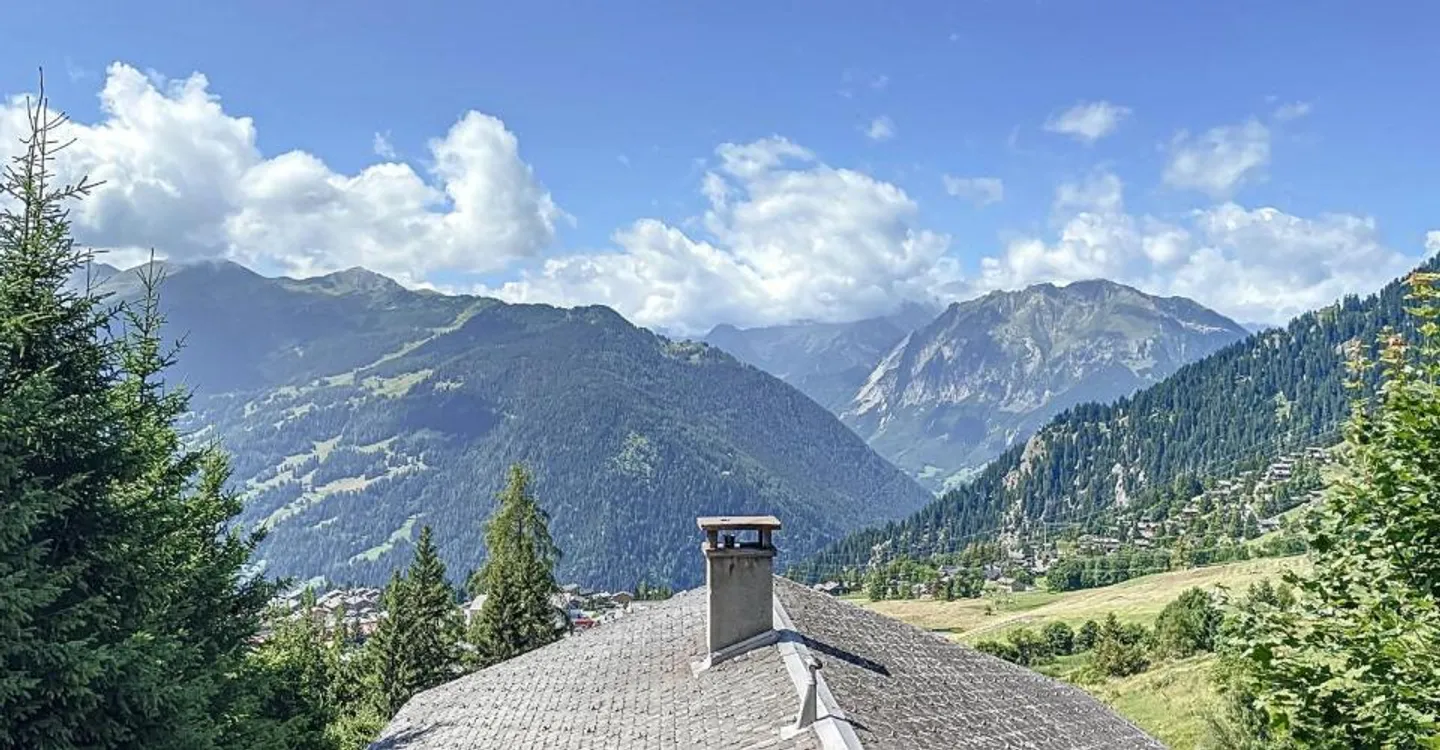 CHALET WITH 3 APARTMENTS - Photo 3 of 13