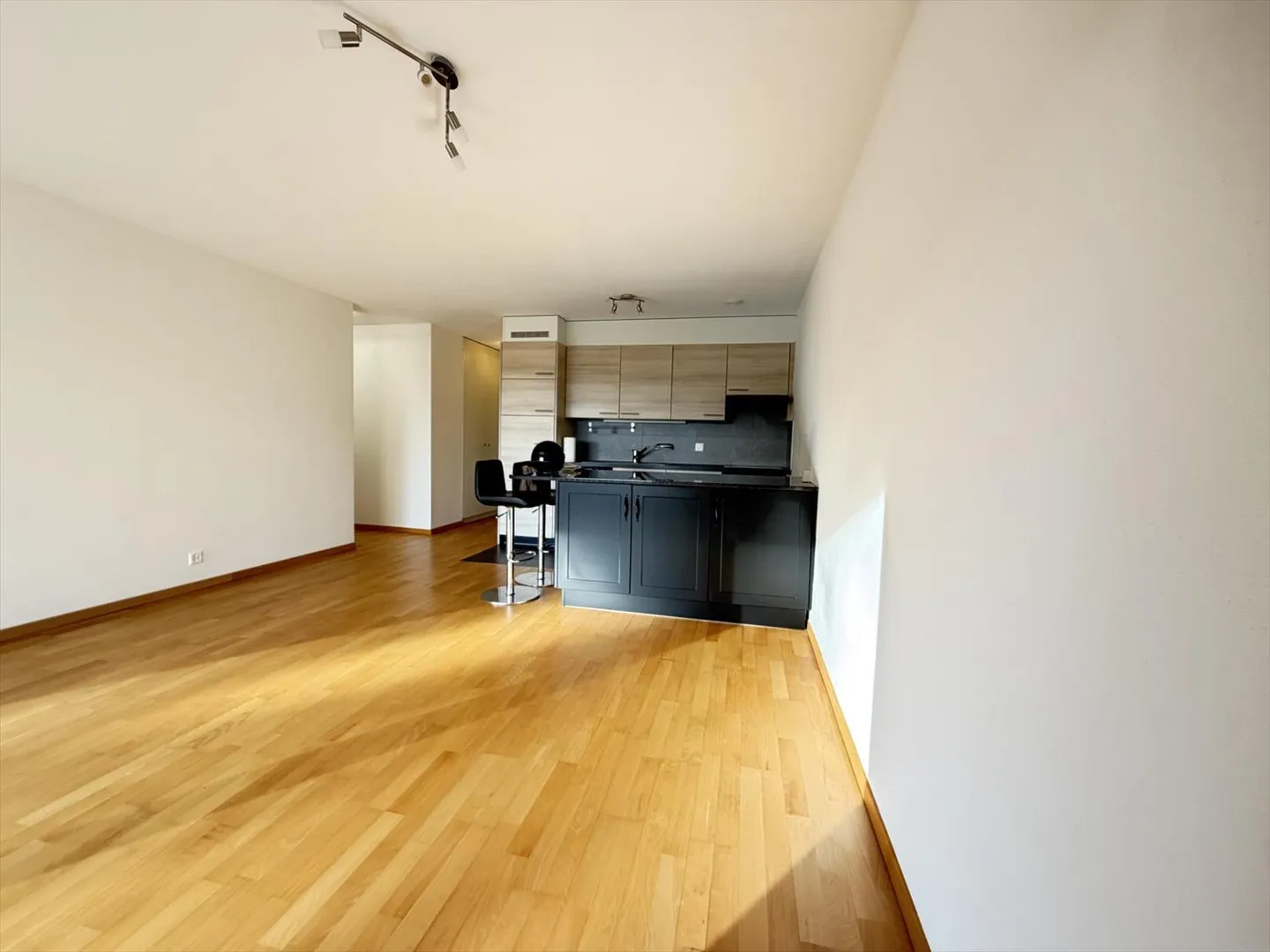 Ampio appartamento di 2,5 locali a Nyon - Foto 2 di 13