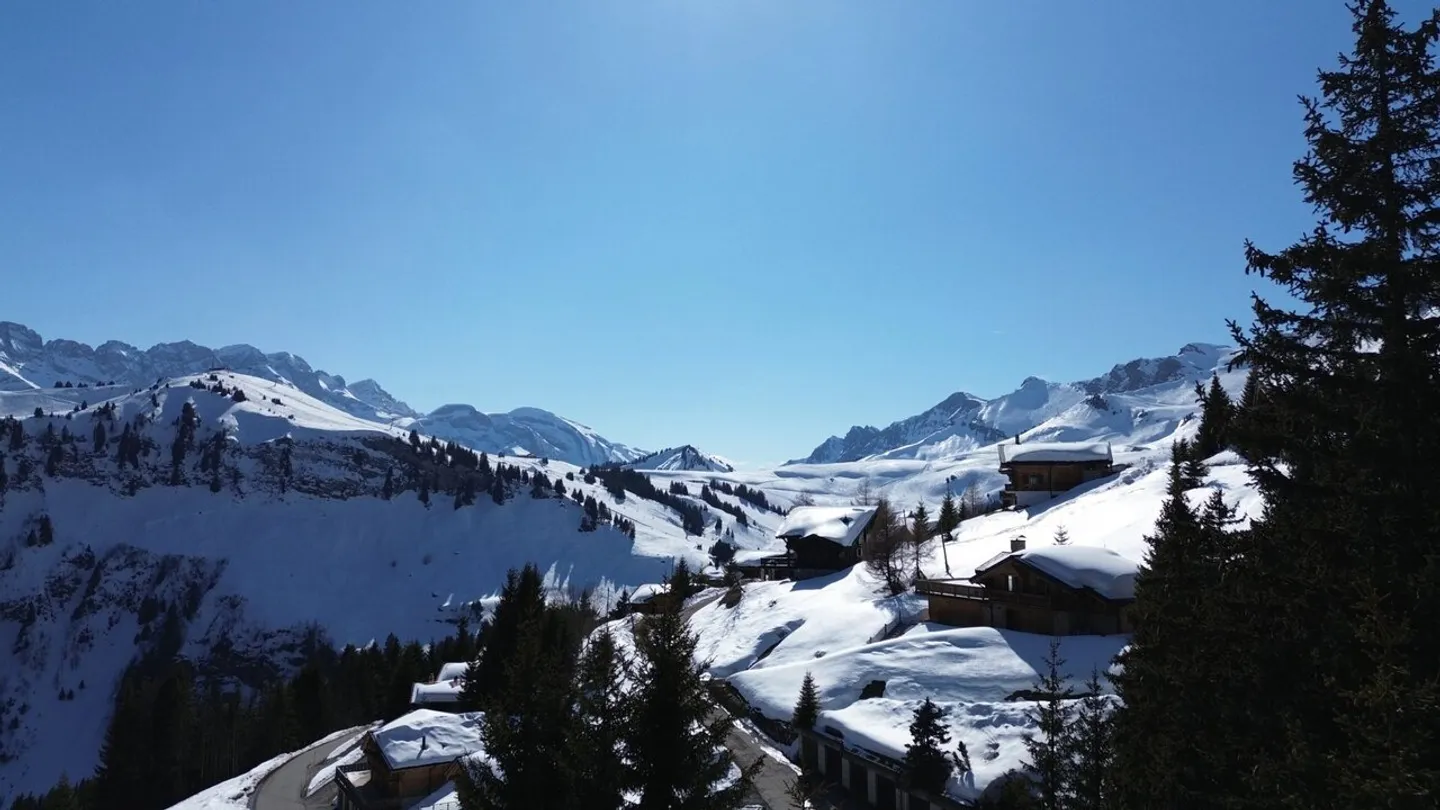 Family Chalet / Portes du Soleil / Les Crosets - Photo 12 of 13