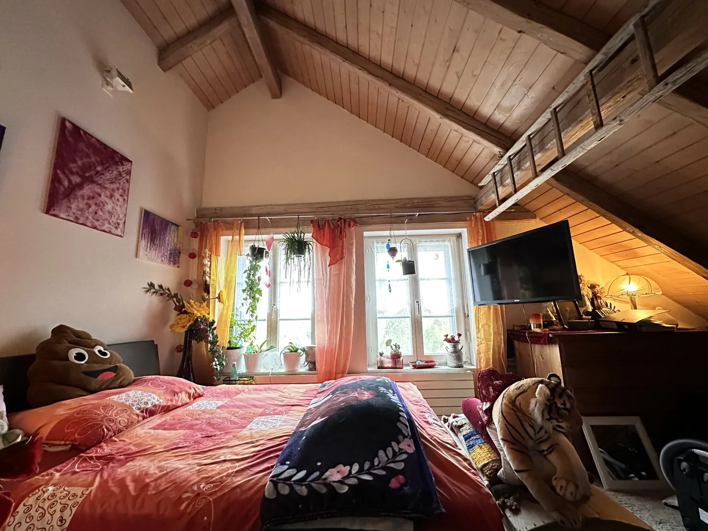 WOHNEN MIT CHARME, HOLZ UND GEMÜTLICHKEIT - Foto 5 di 7