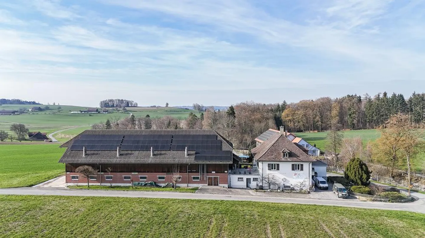 Agricultural business with residential house, cheese dairy and pig farming - Photo 2 of 7