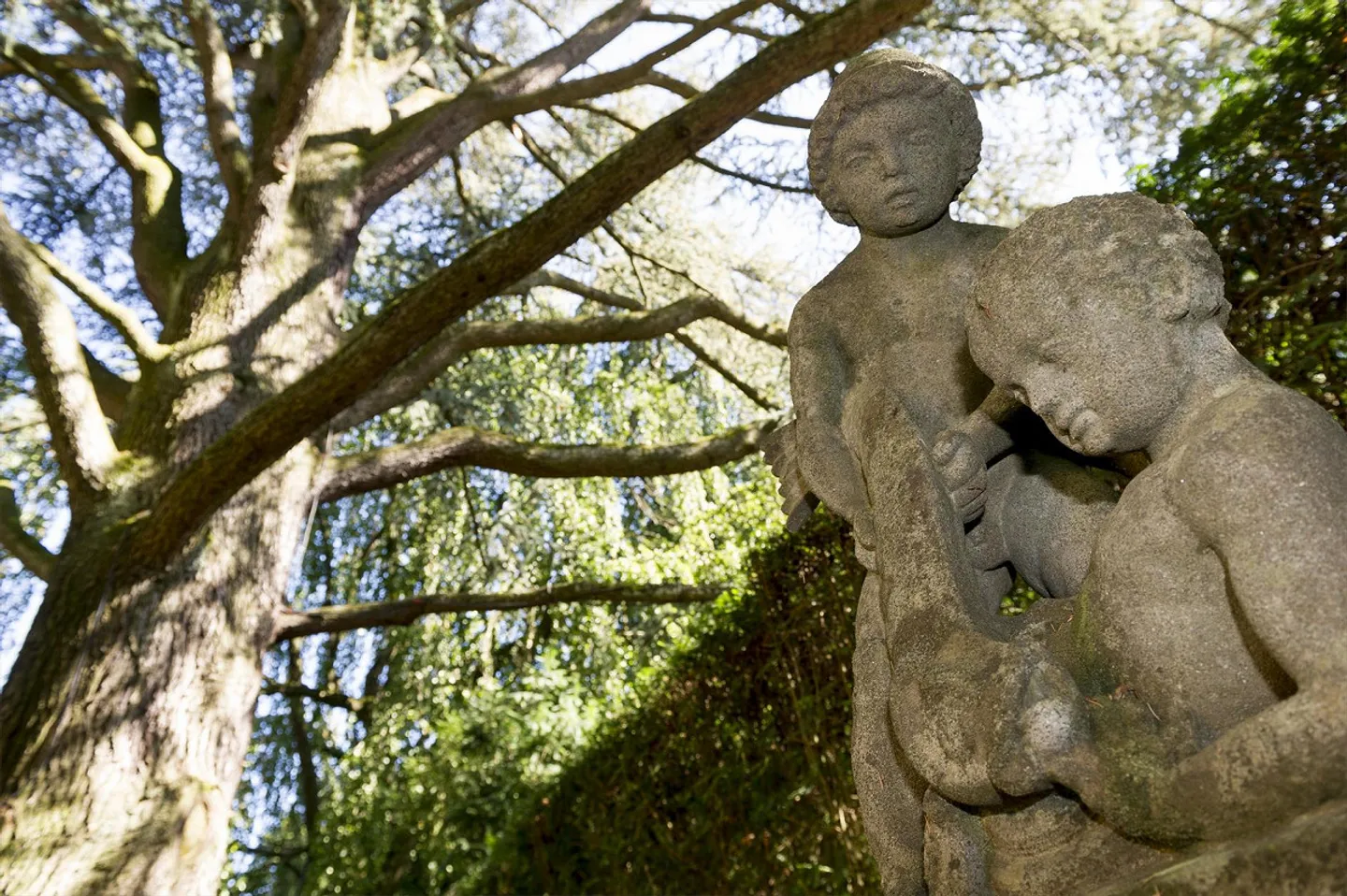 Propriété représentative à Horgen avec vue sur le lac de Zurich - Photo 9 sur 11