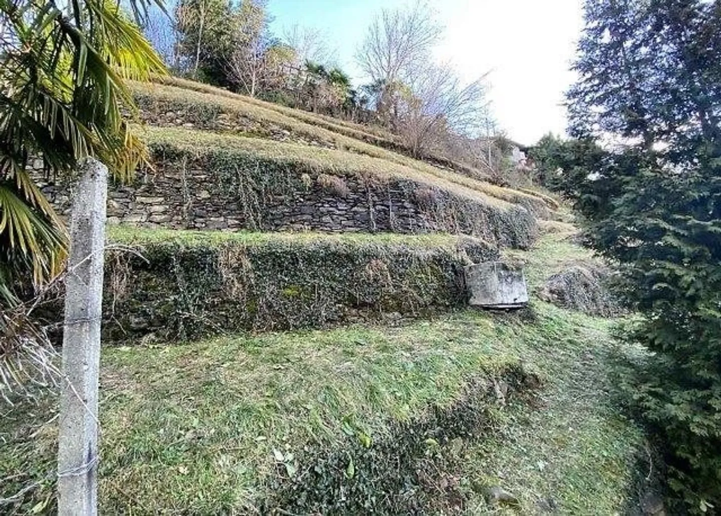 «Terreno edificabile di 1000m2 in posizione molto centrale /  Baulandgrundstück von 1000m2 an sehr zentraler Lage» - Foto 1 di 6