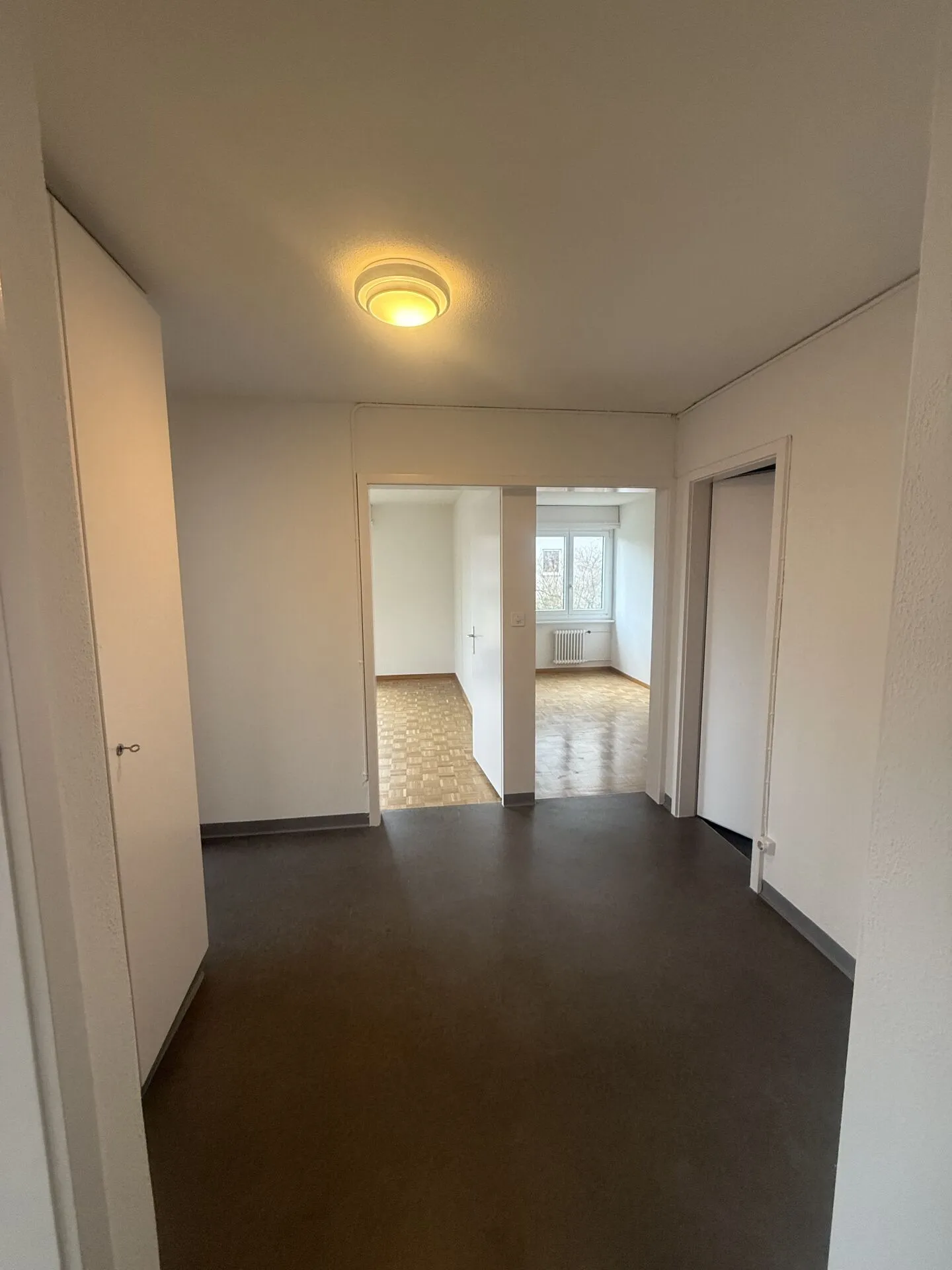 Cozy Lake Apartment is looking for you! - Photo 2 of 7